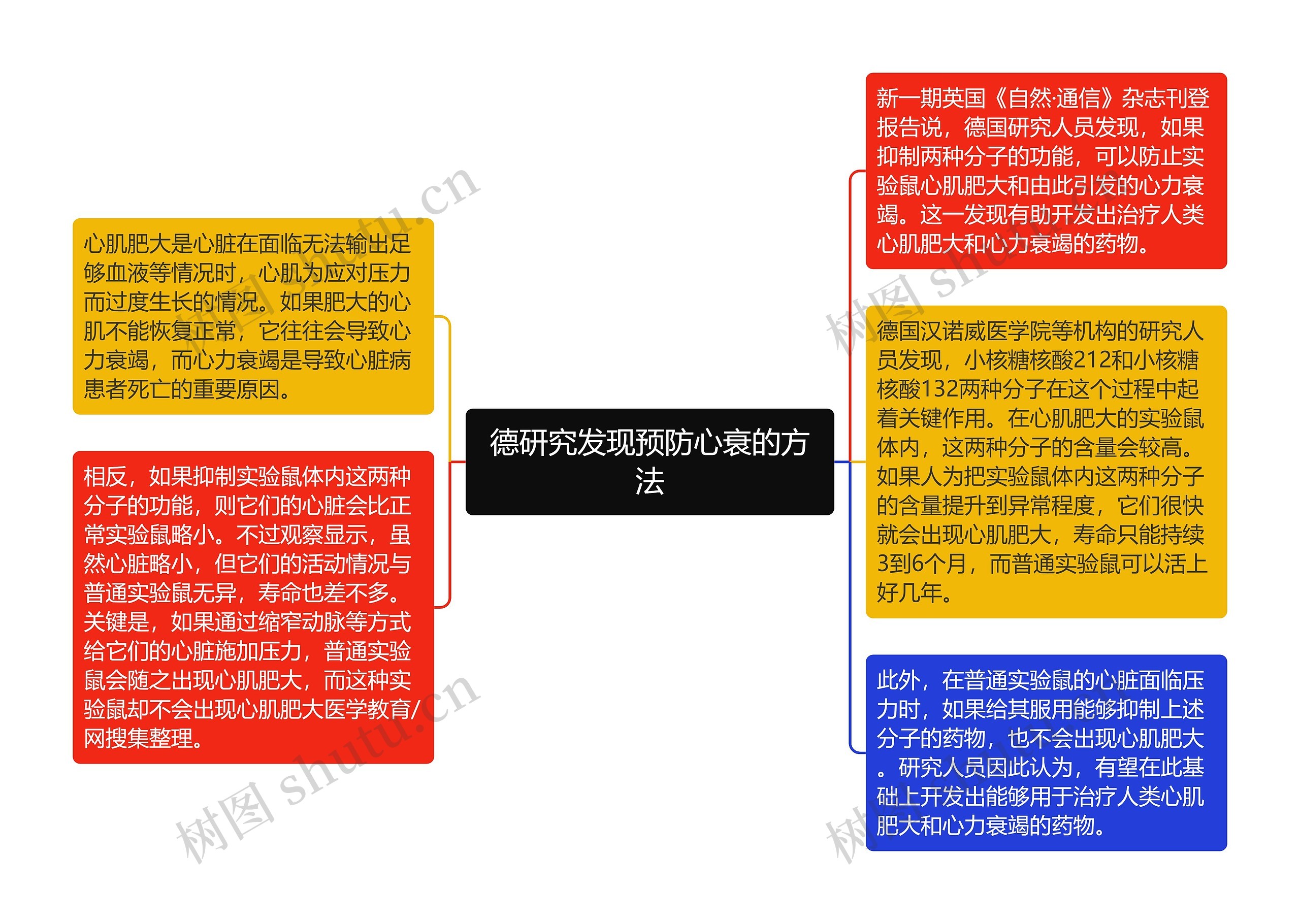 德研究发现预防心衰的方法思维导图