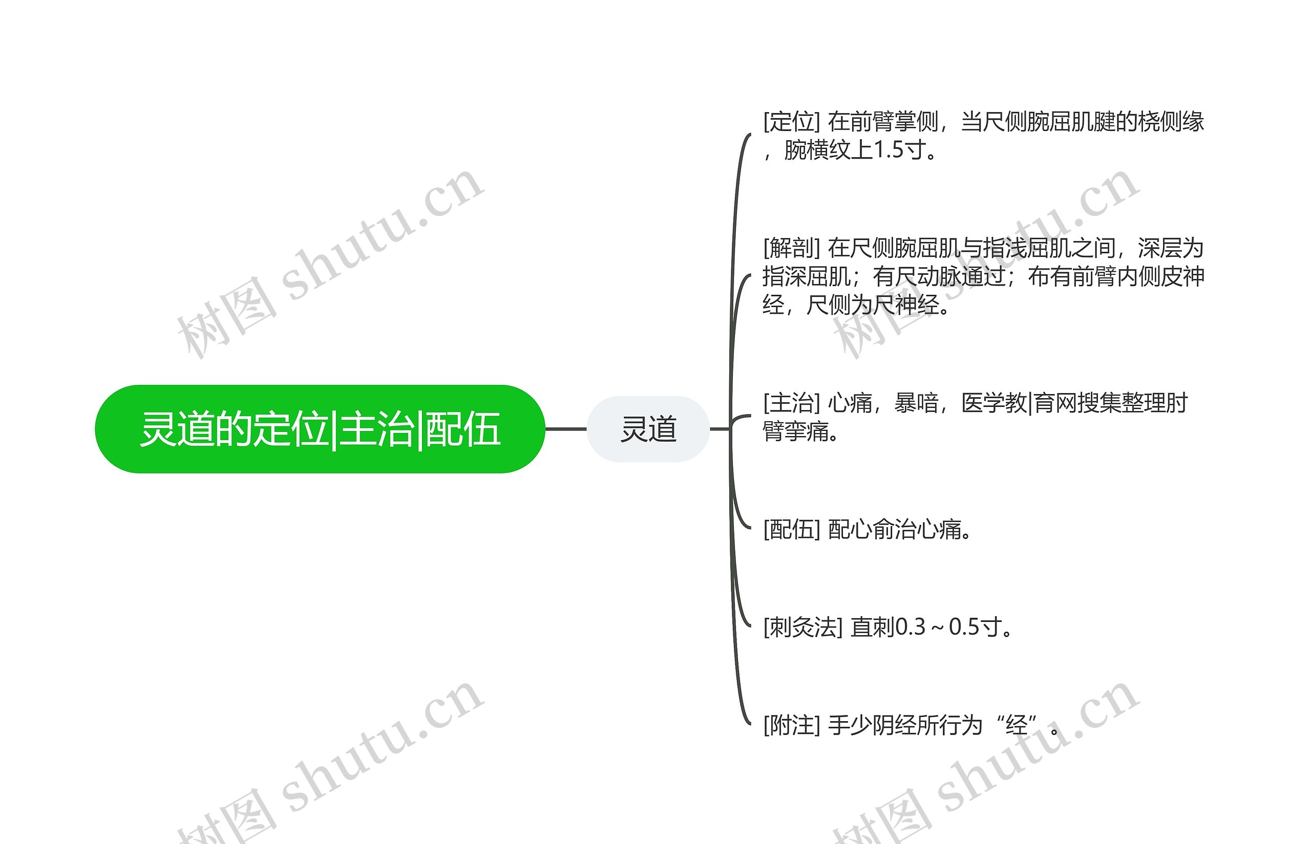 灵道的定位|主治|配伍