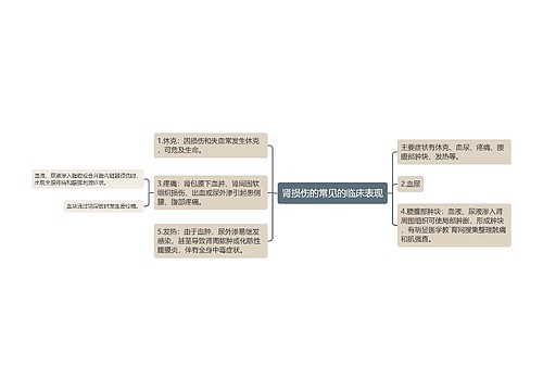 肾损伤的常见的临床表现