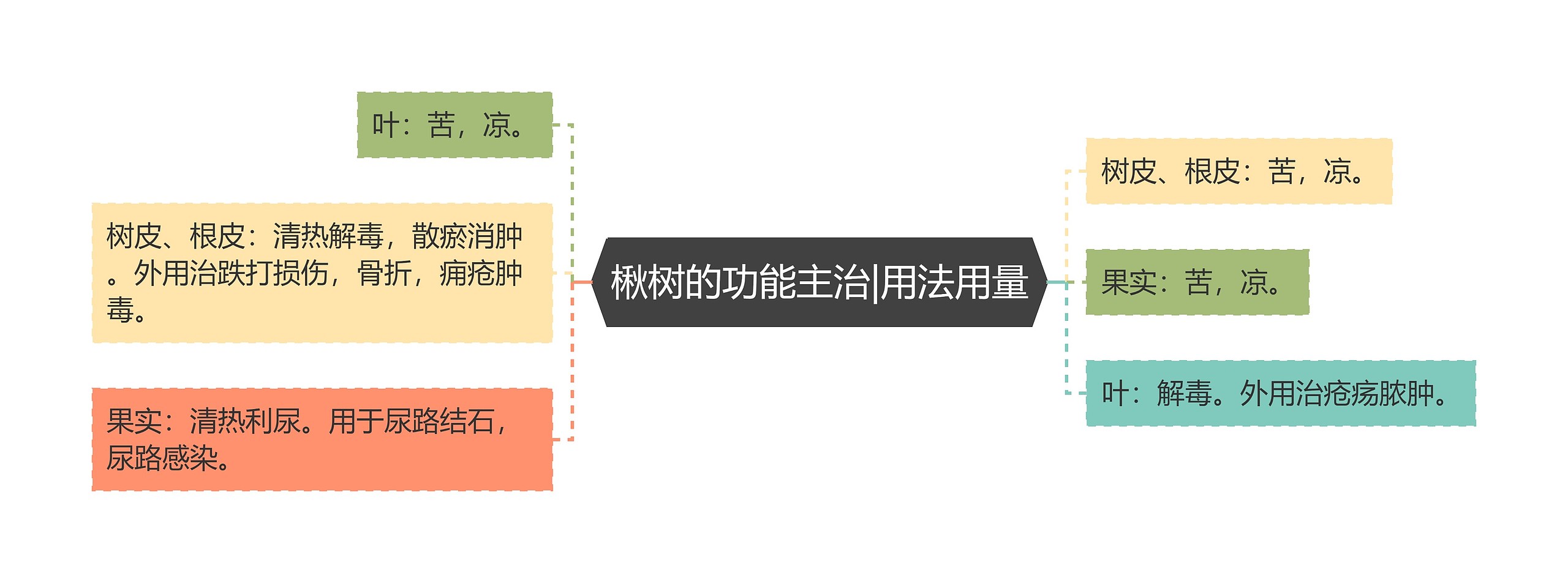 楸树的功能主治|用法用量思维导图