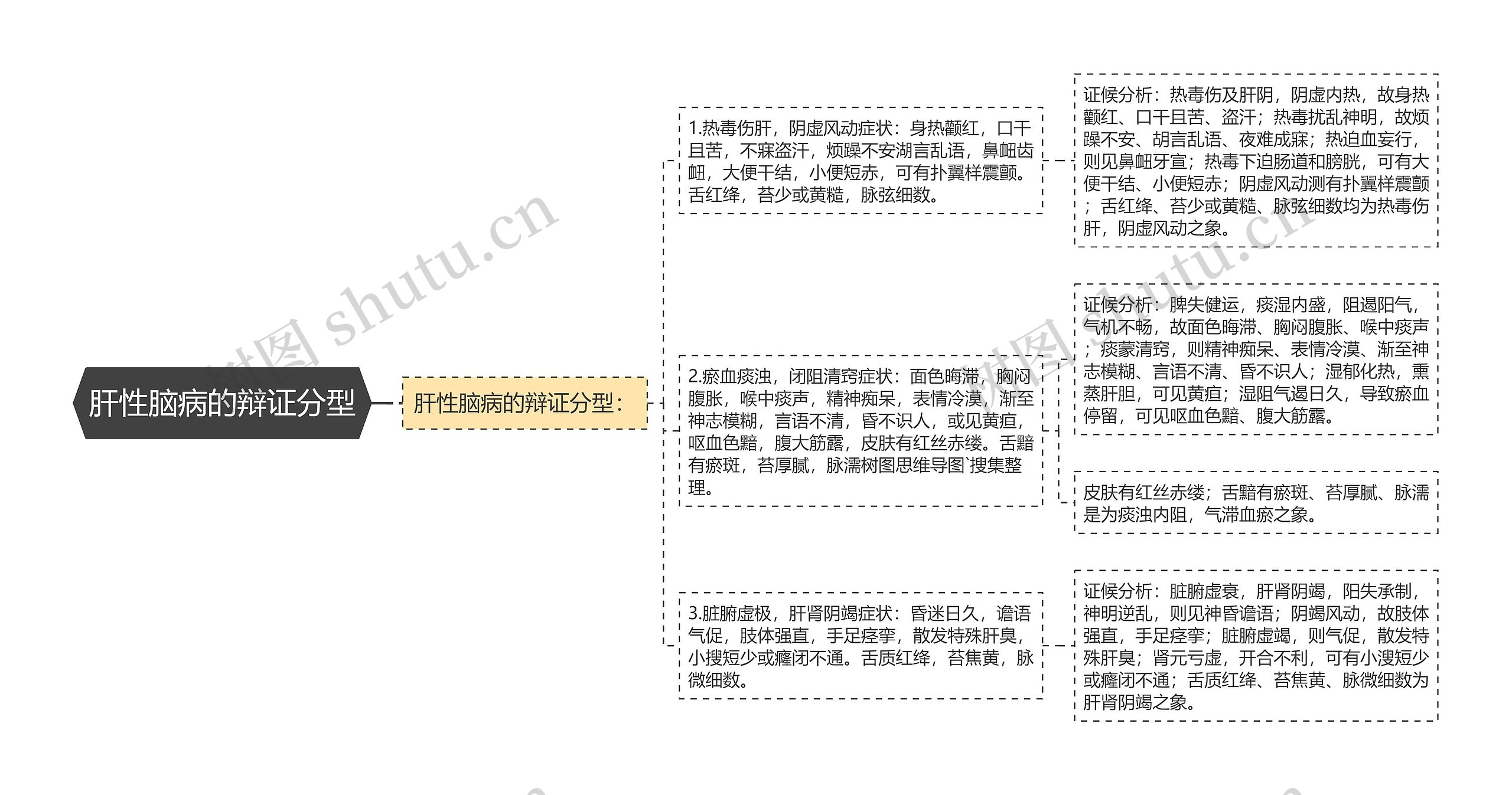 肝性脑病的辩证分型思维导图