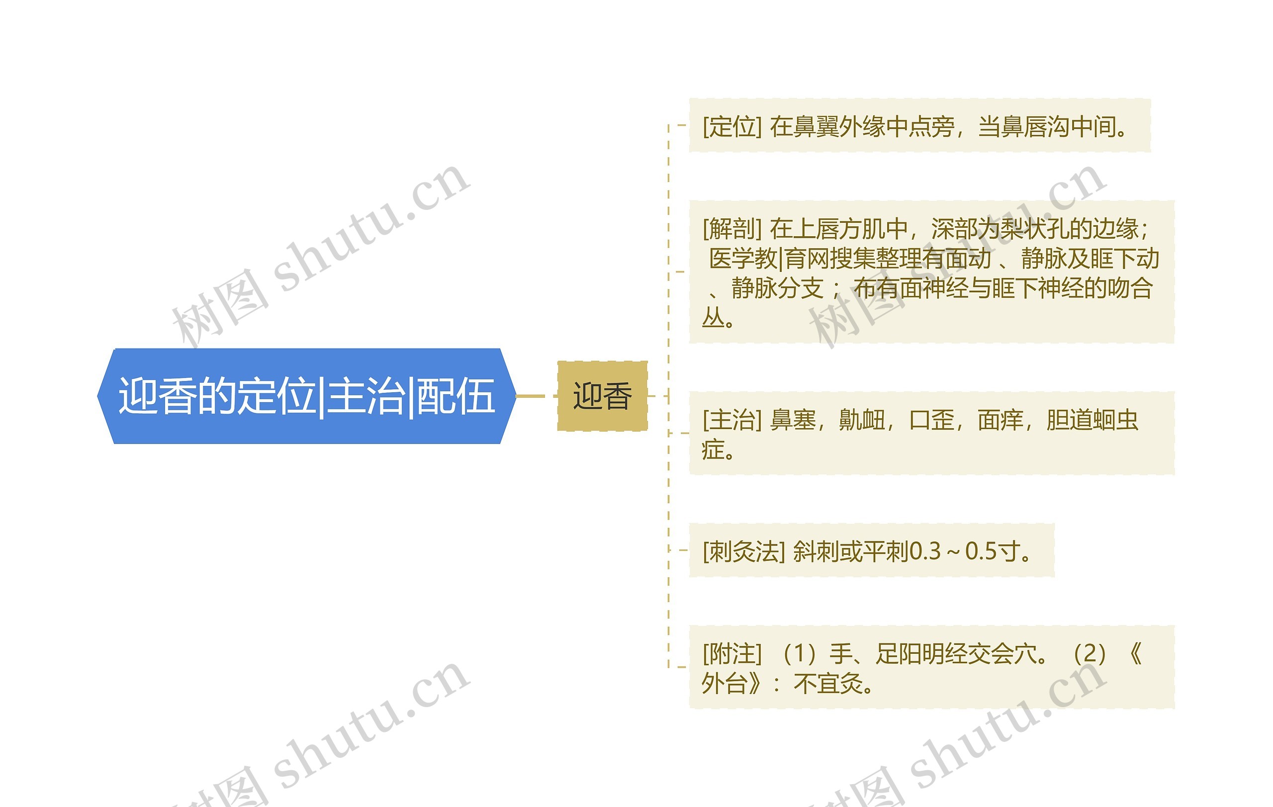 迎香的定位|主治|配伍思维导图