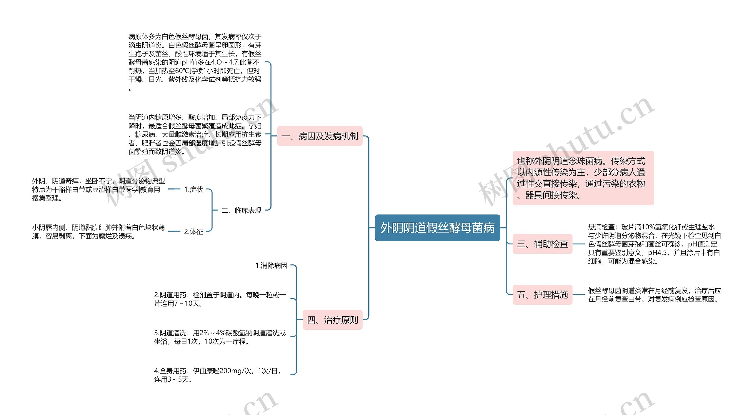 外阴阴道假丝酵母菌病