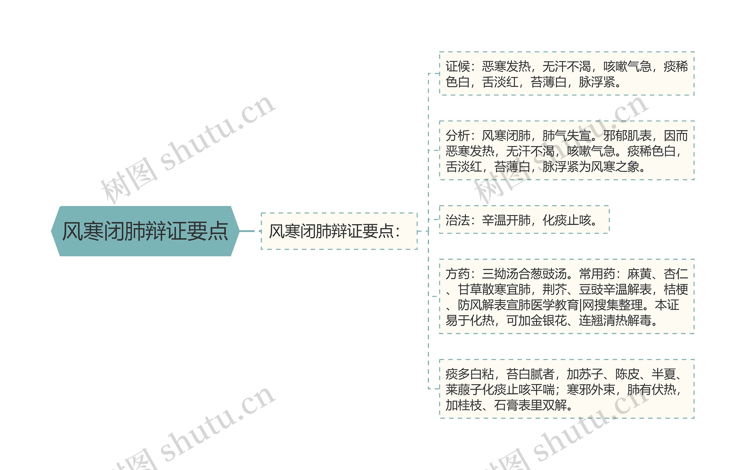 风寒闭肺辩证要点思维导图