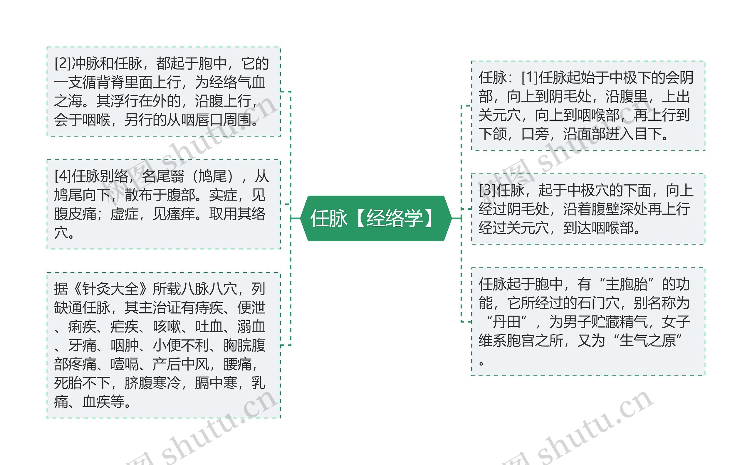 任脉【经络学】