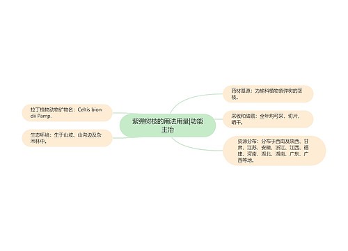 紫弹树枝的用法用量|功能主治