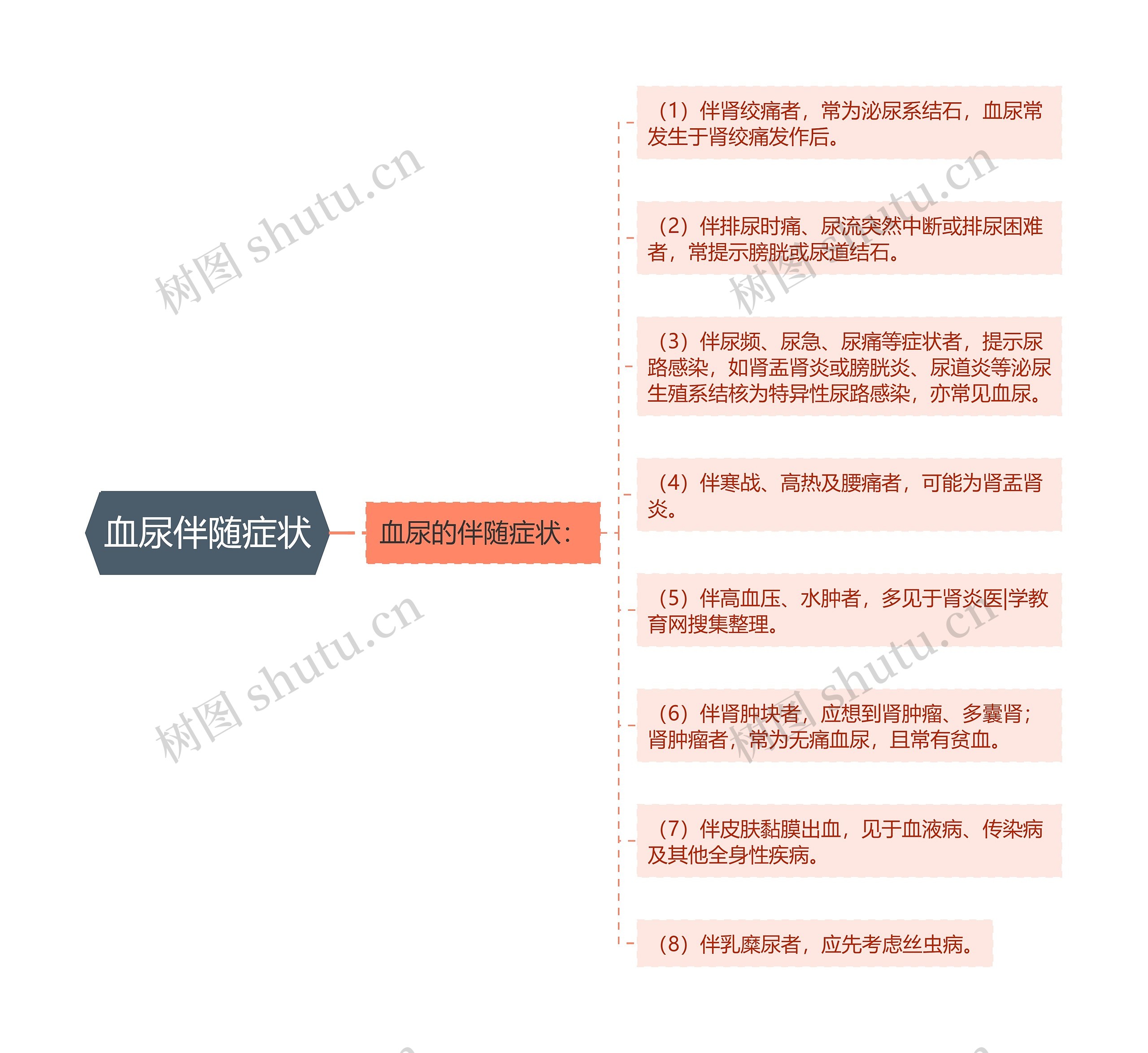 血尿伴随症状思维导图