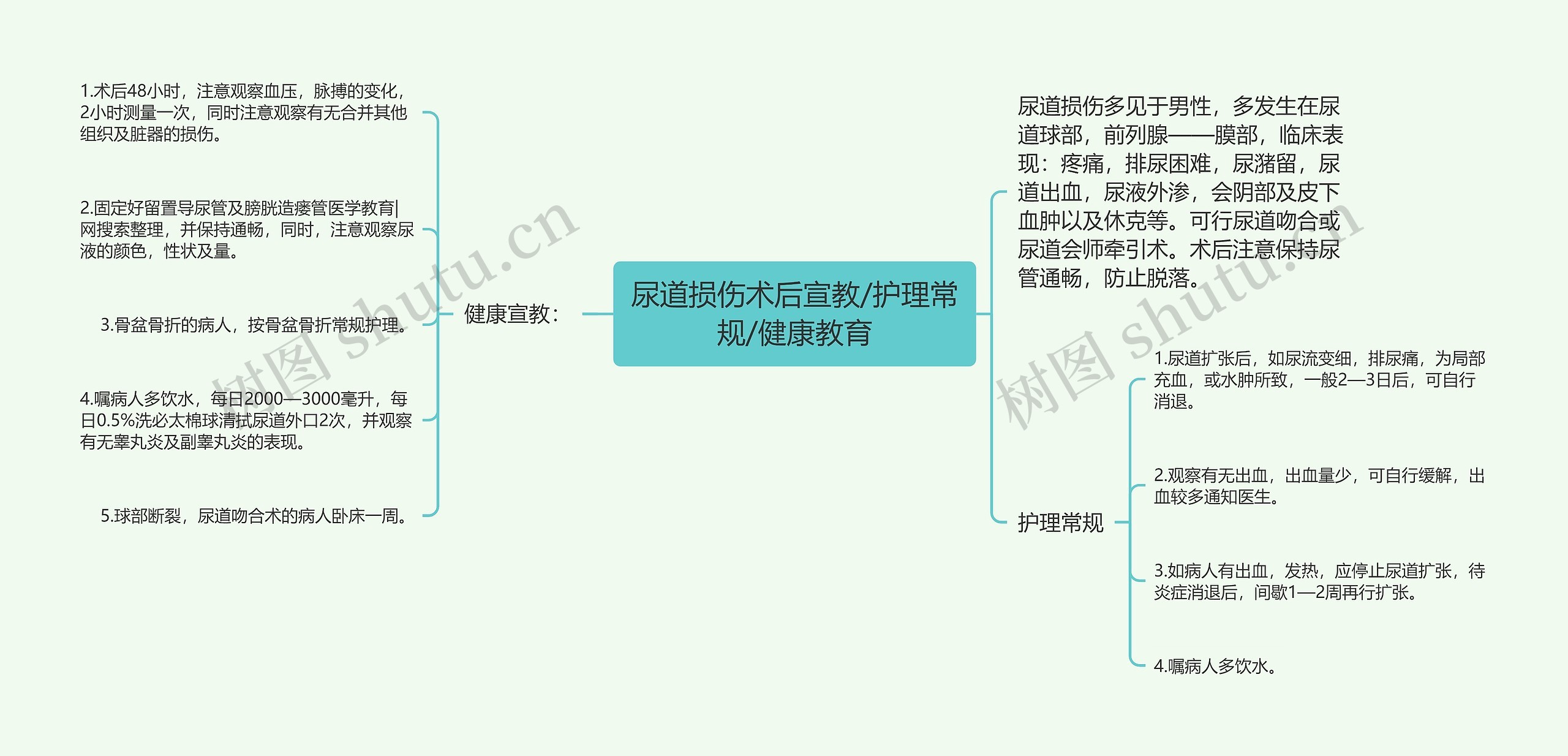 尿道损伤术后宣教/护理常规/健康教育