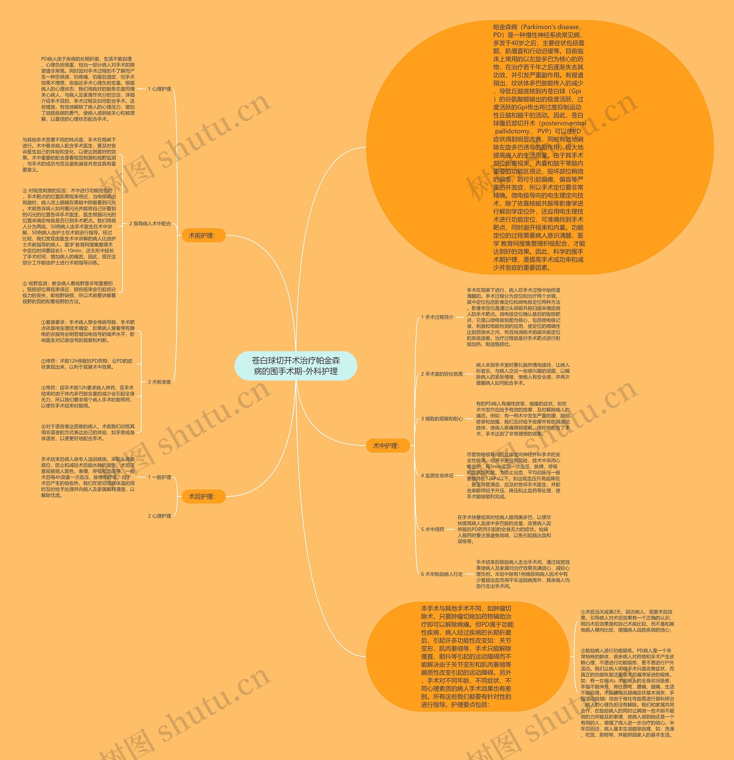 苍白球切开术治疗帕金森病的围手术期-外科护理 苍白球切开术治疗帕金森病的围手术期-外科护理