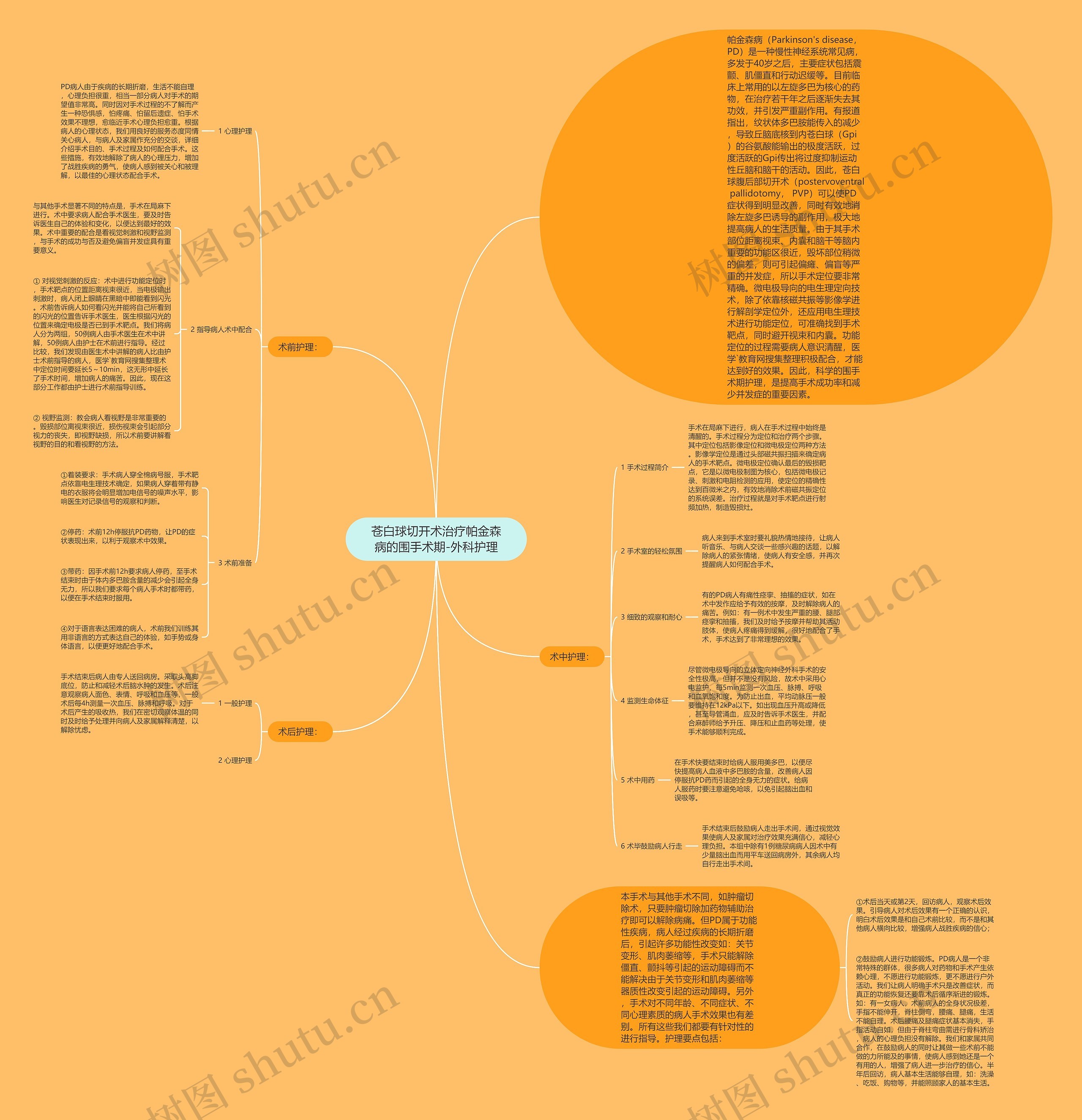 苍白球切开术治疗帕金森病的围手术期-外科护理思维导图
