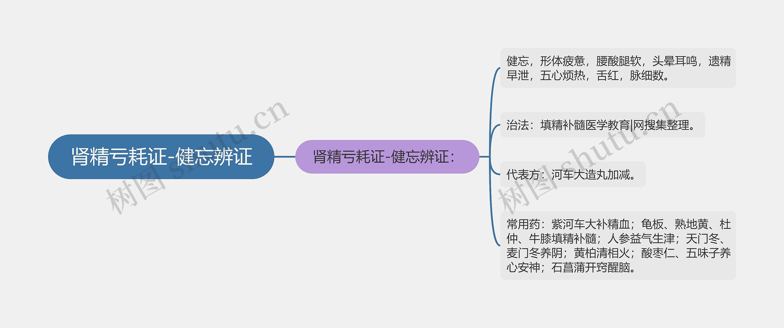 肾精亏耗证-健忘辨证思维导图