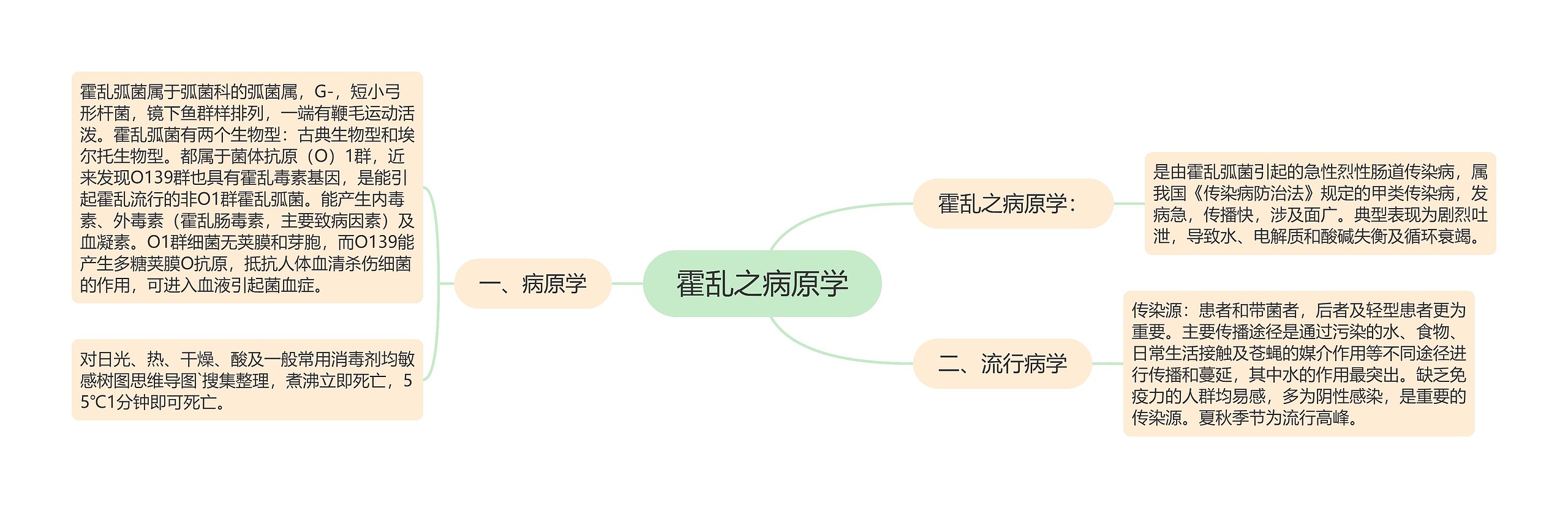 霍乱之病原学思维导图