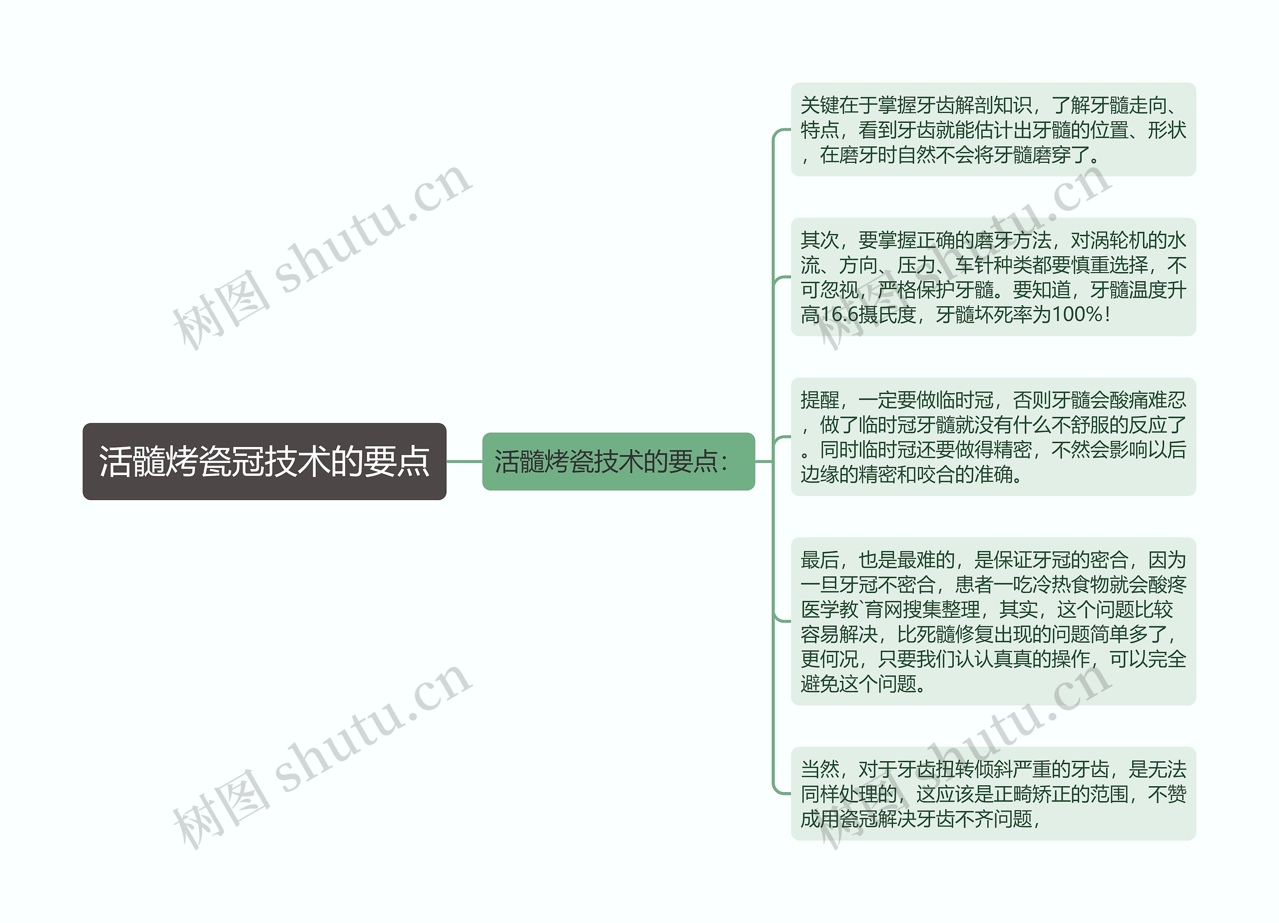 活髓烤瓷冠技术的要点思维导图