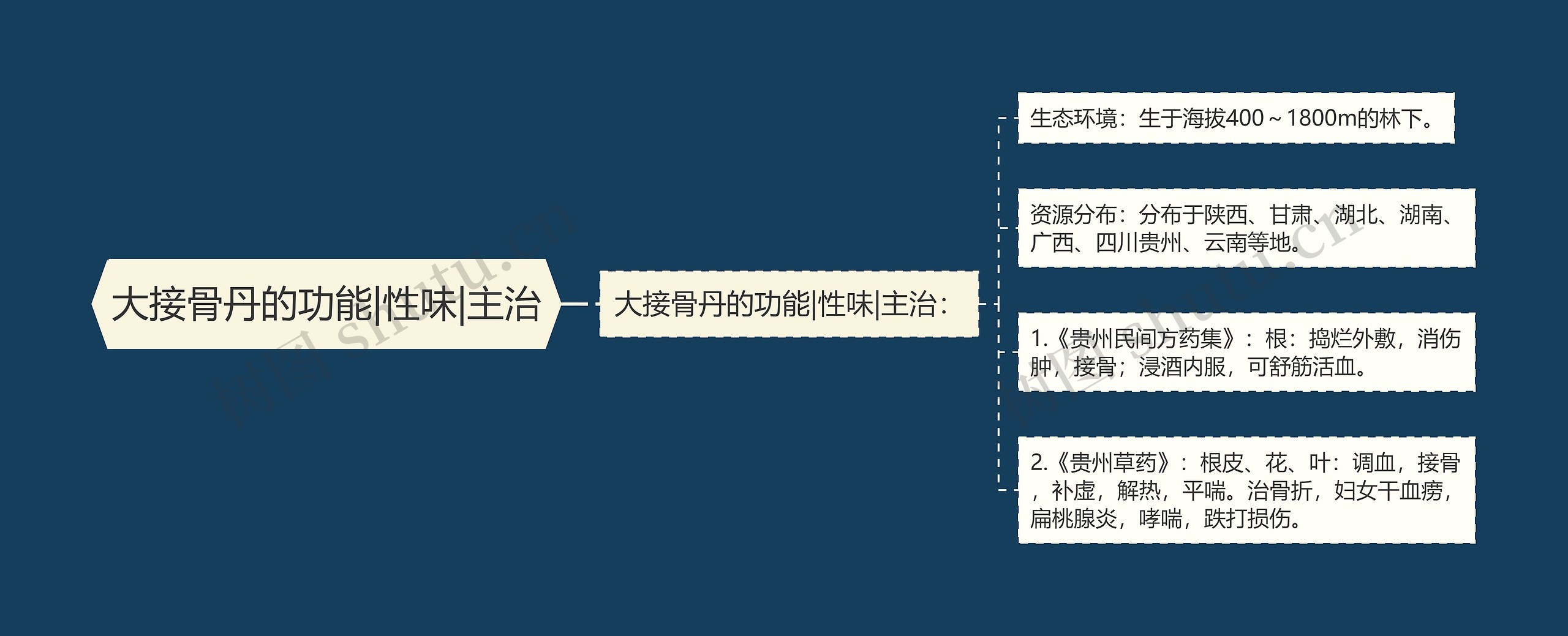 大接骨丹的功能|性味|主治思维导图