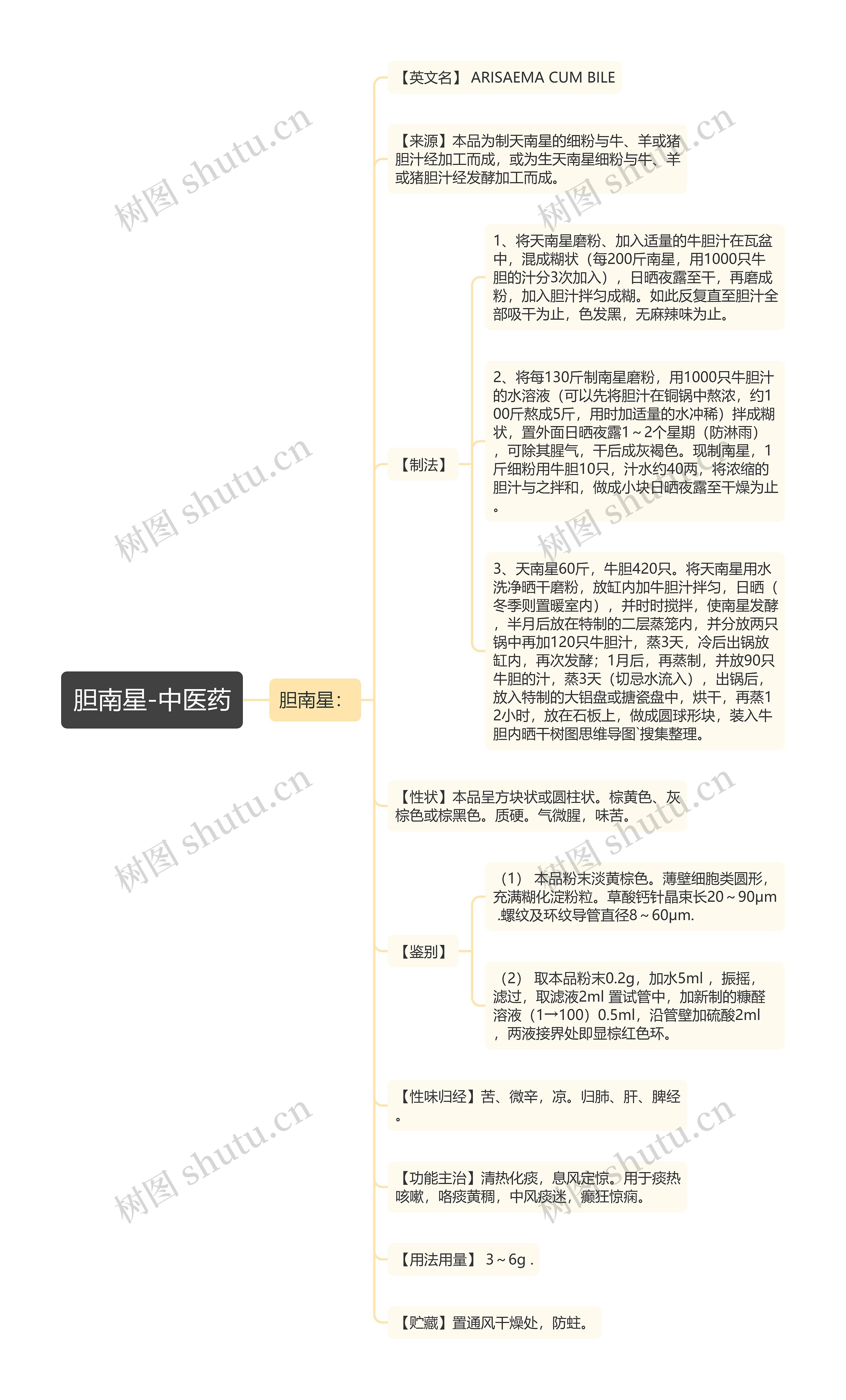 胆南星-中医药思维导图