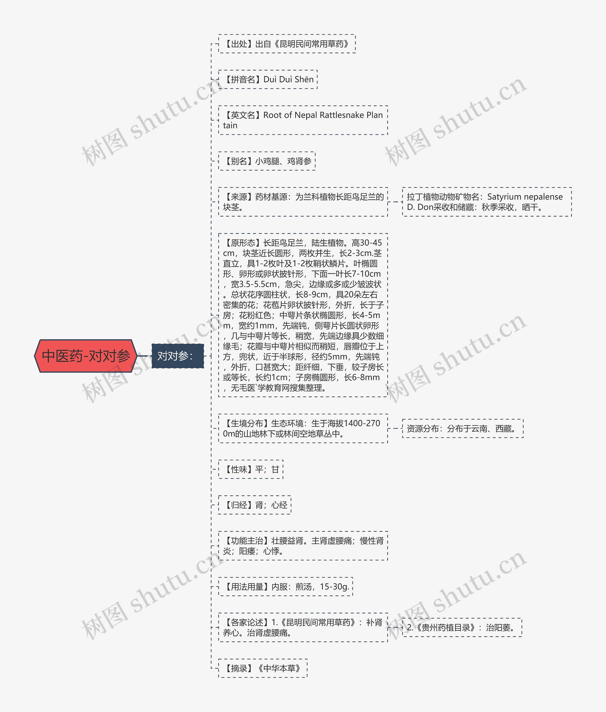 中医药-对对参思维导图