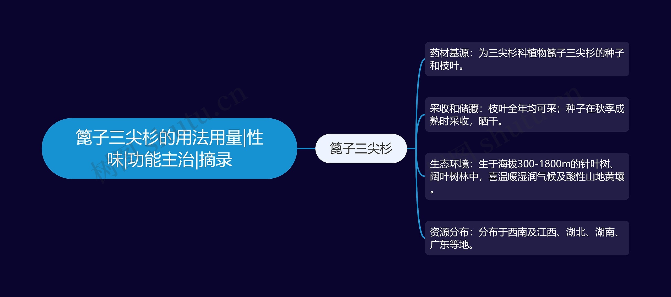 篦子三尖杉的用法用量|性味|功能主治|摘录思维导图