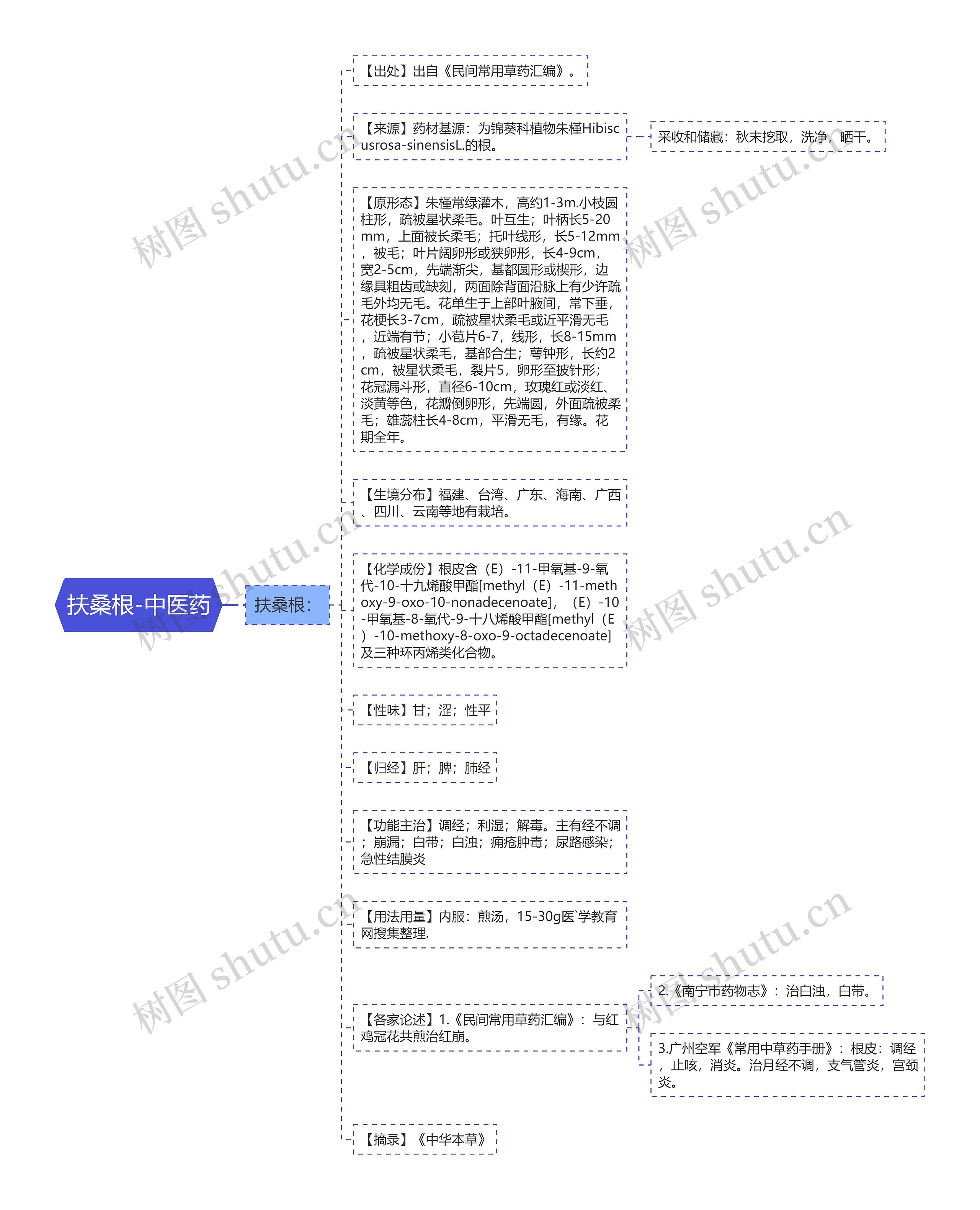 扶桑根-中医药思维导图