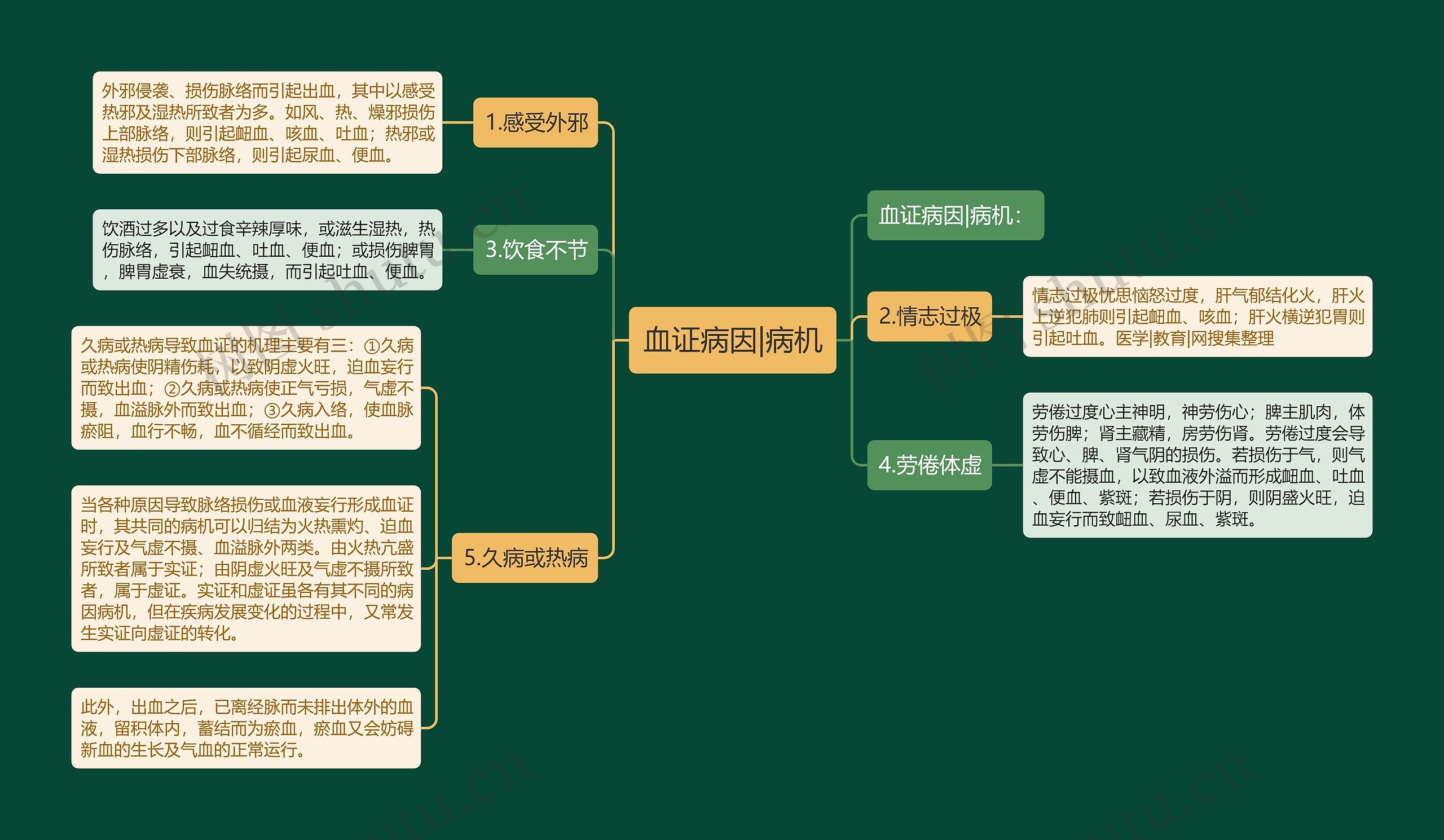 血证病因|病机思维导图