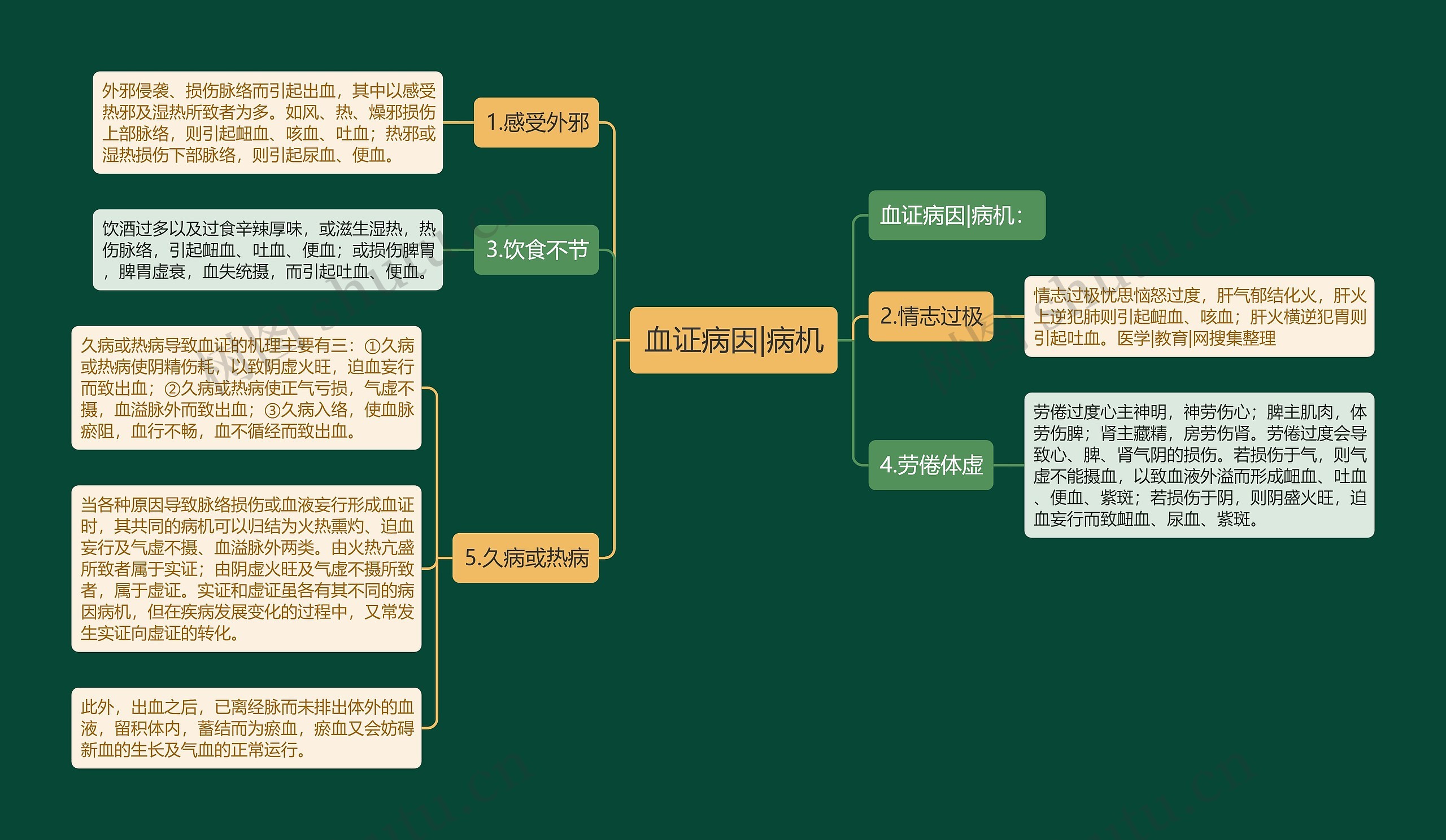 血证病因|病机 血证病因|病机