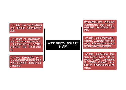 内生殖器的邻近器官-妇产科护理