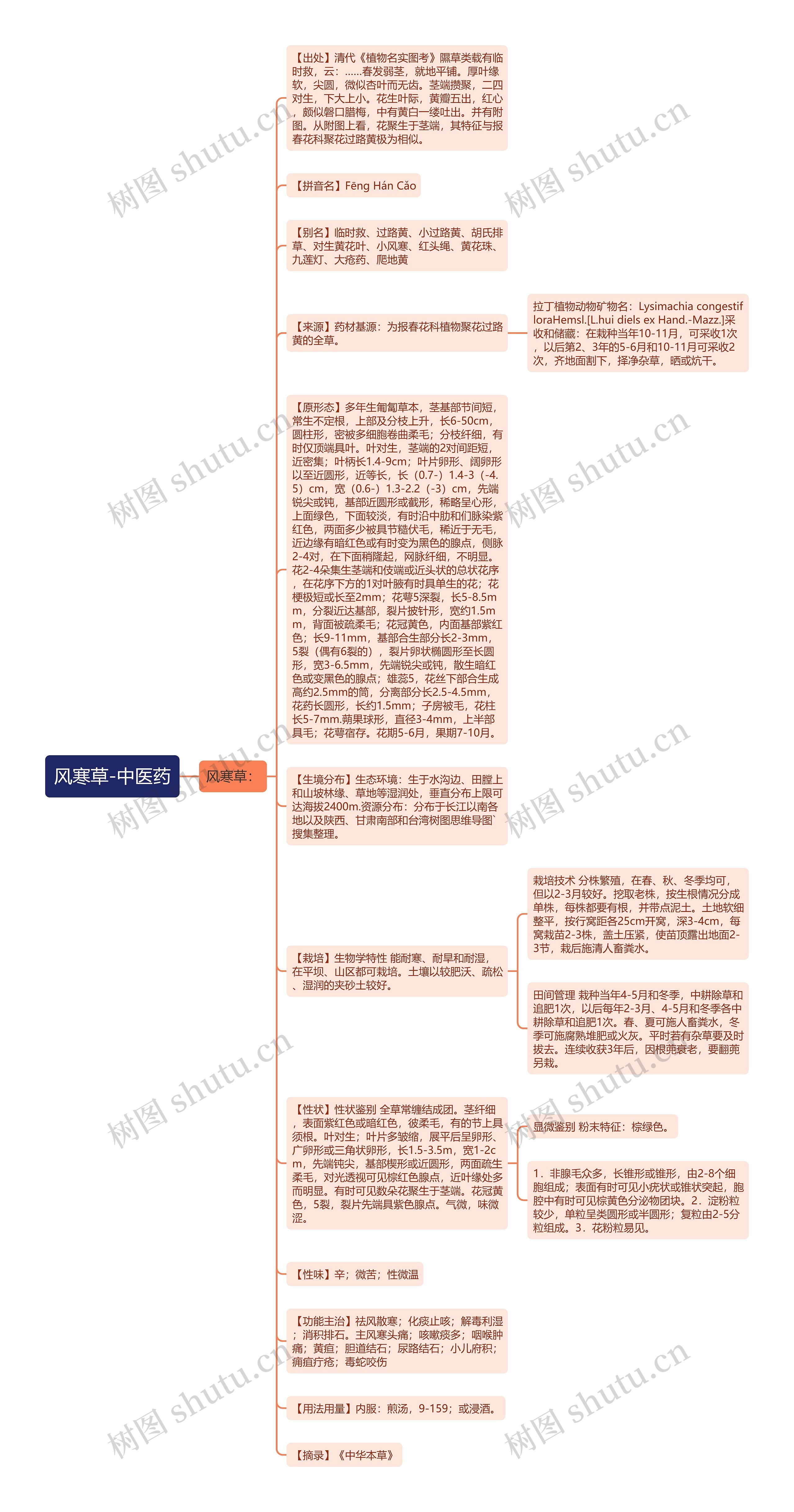 风寒草-中医药思维导图