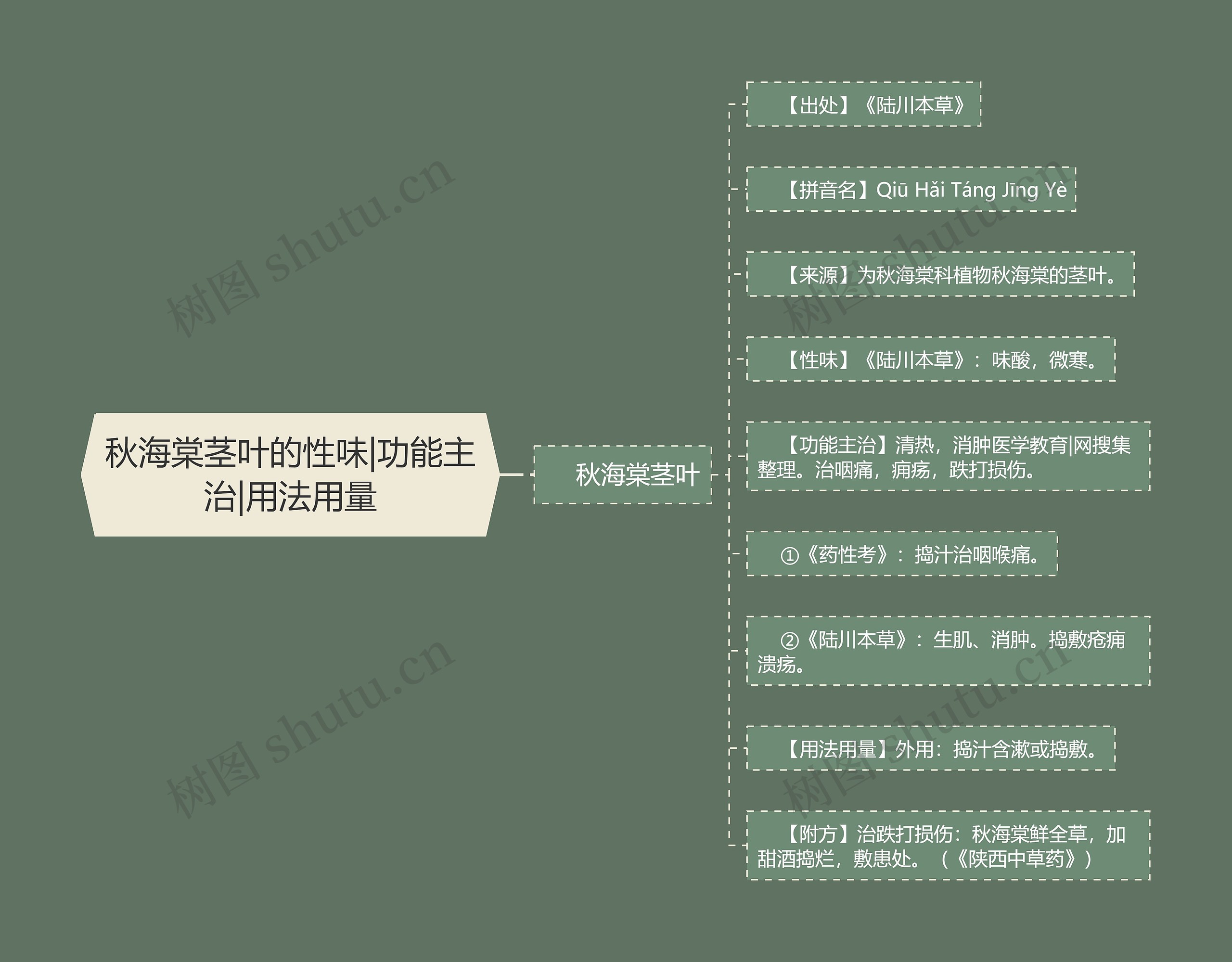 秋海棠茎叶的性味|功能主治|用法用量思维导图