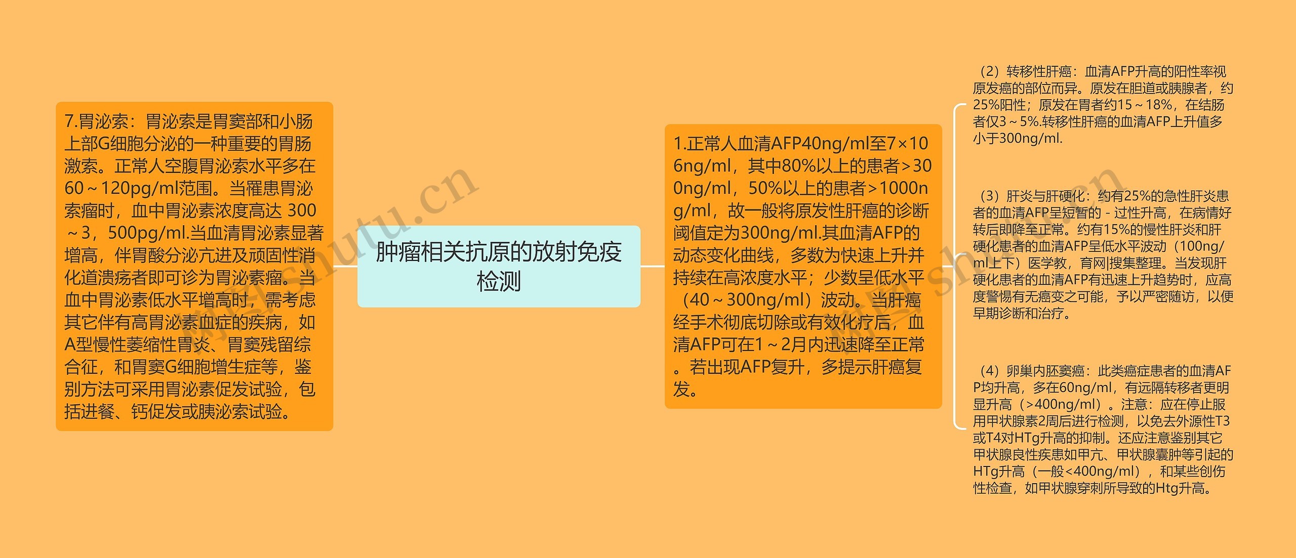 肿瘤相关抗原的放射免疫检测 肿瘤相关抗原的放射免疫检测