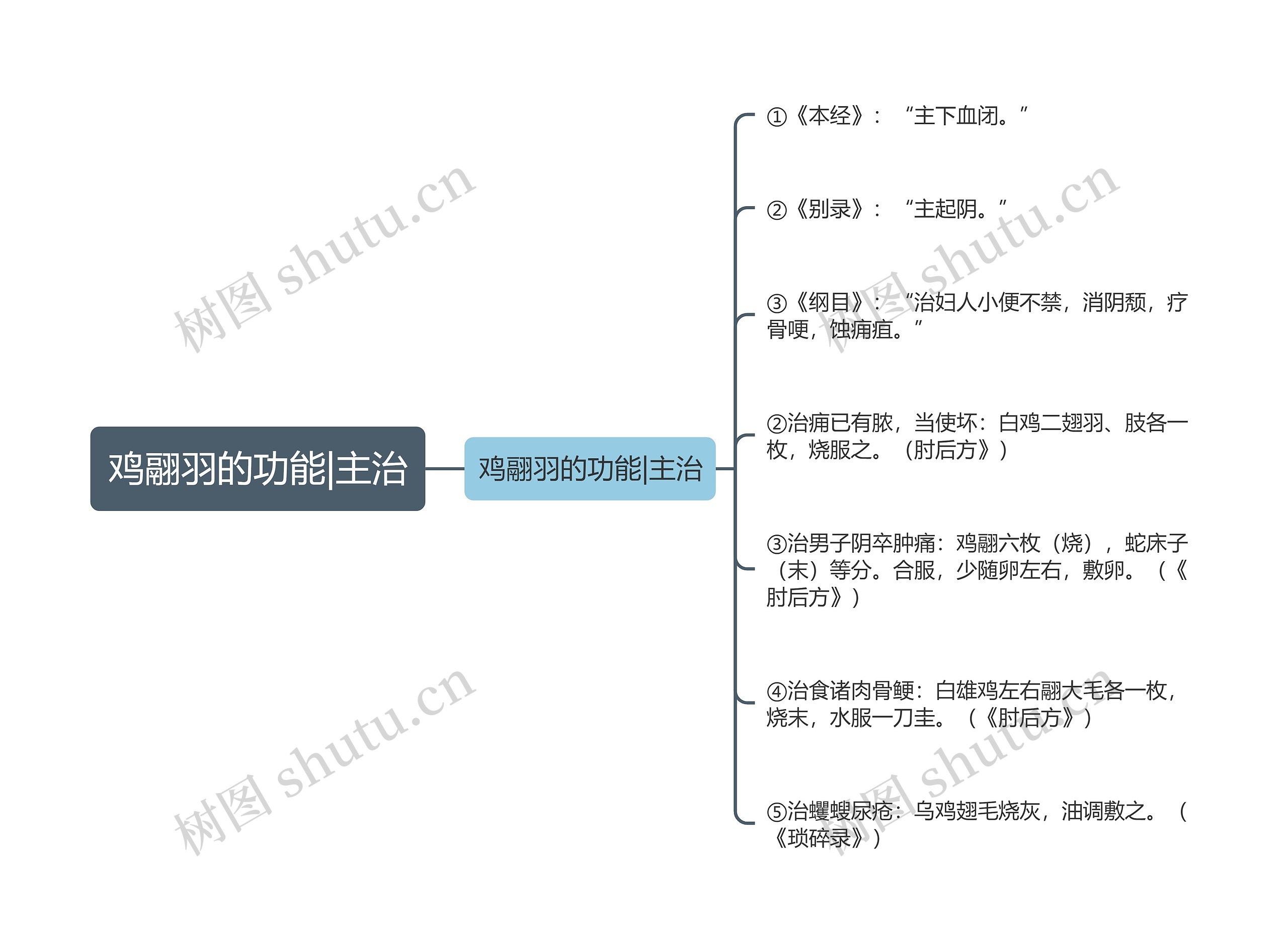 鸡翮羽的功能|主治思维导图