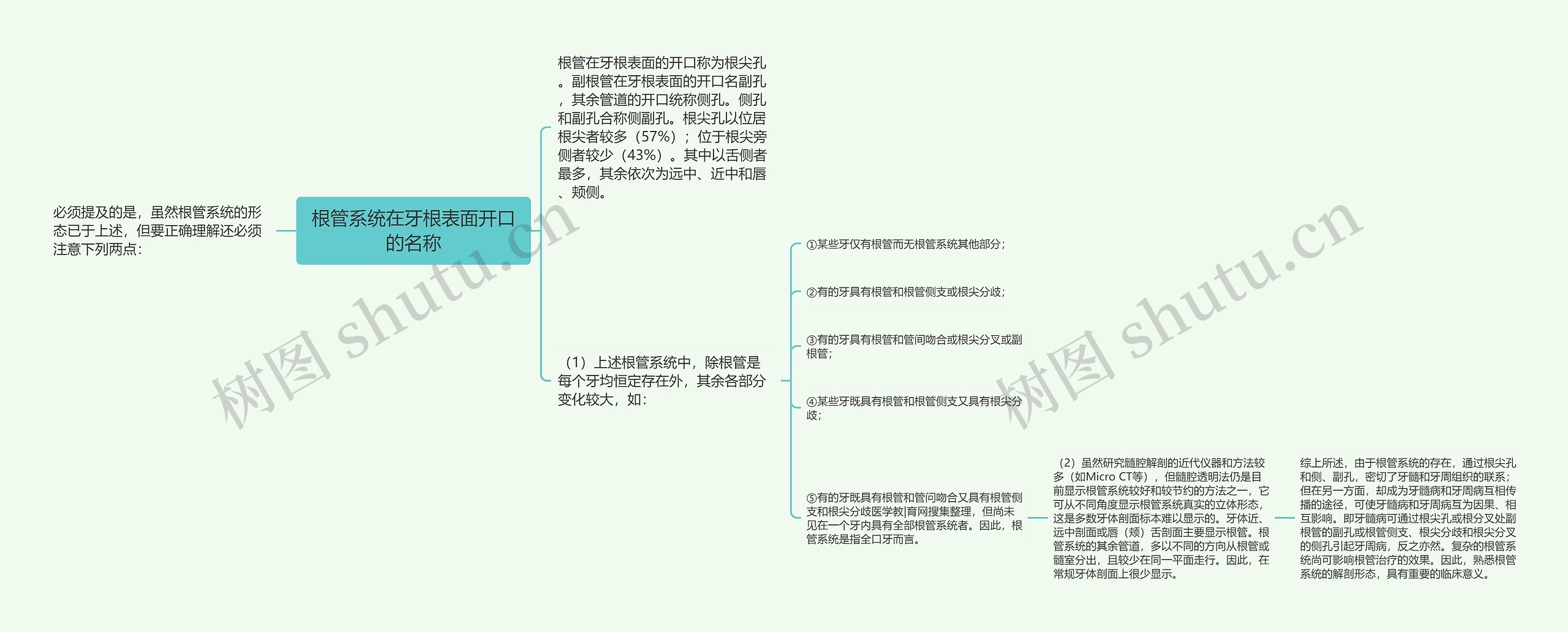 根管系统在牙根表面开口的名称思维导图