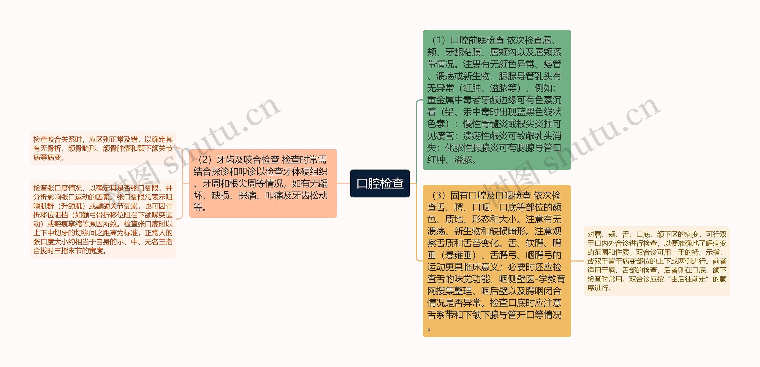 口腔检查思维导图