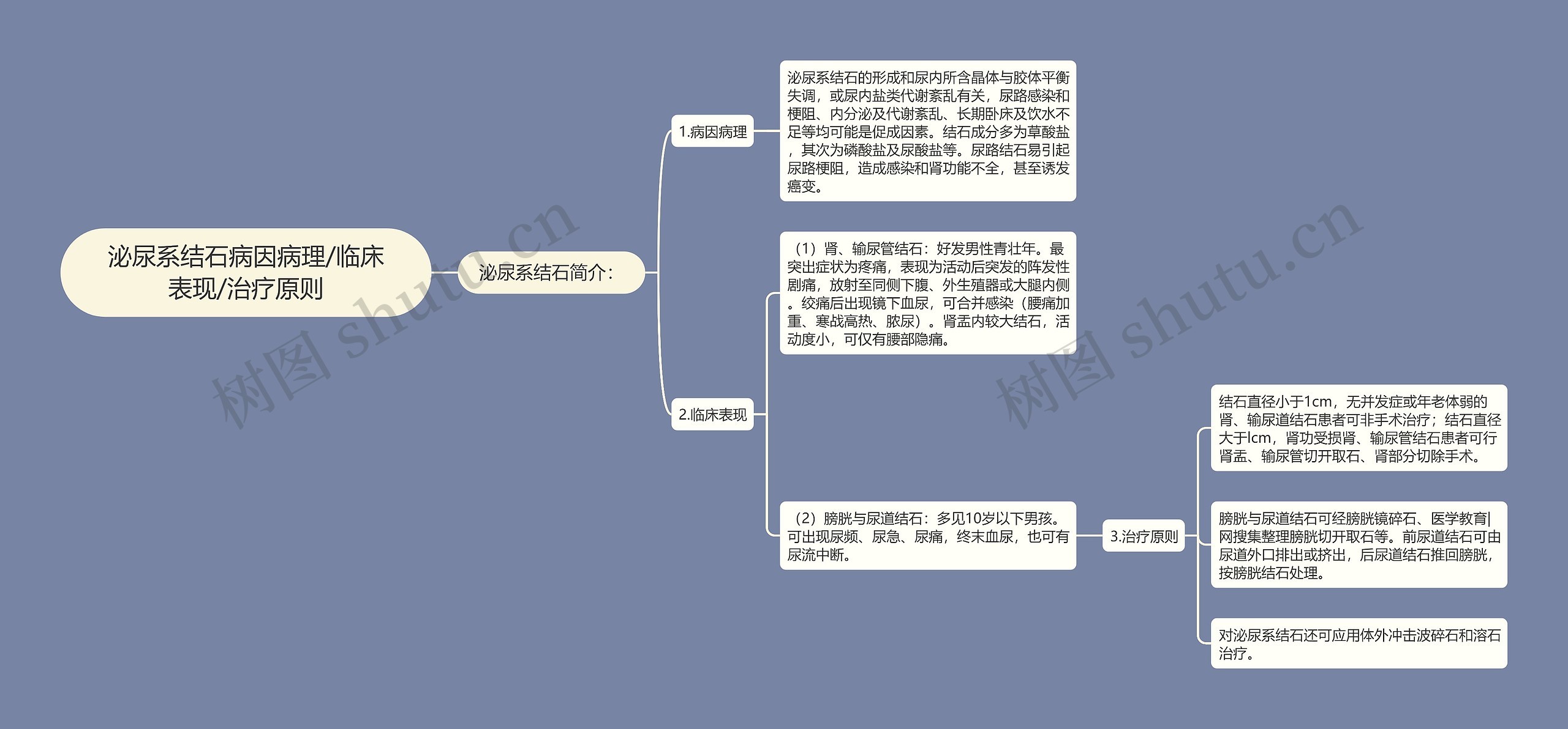 泌尿系结石病因病理/临床表现/治疗原则