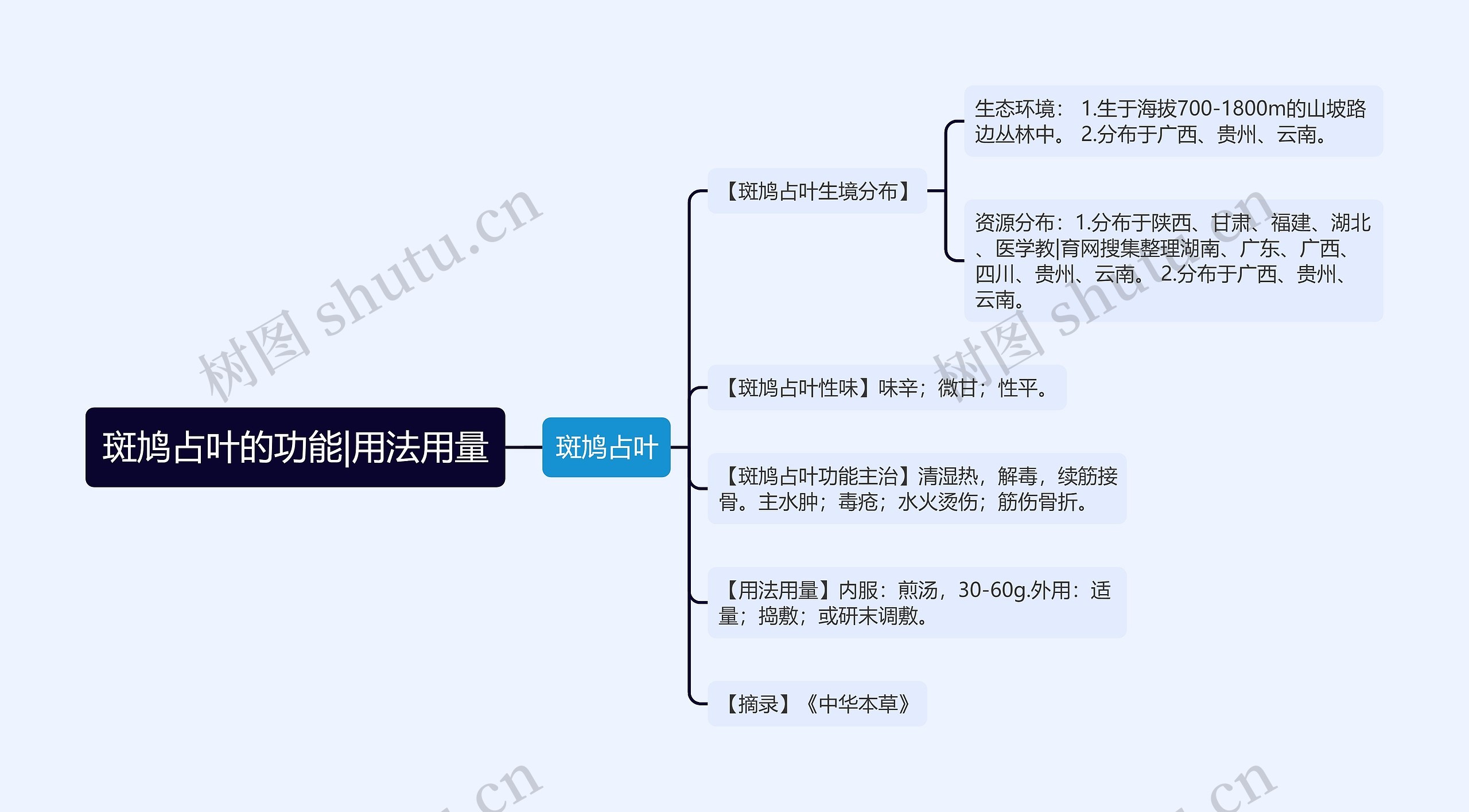 斑鸠占叶的功能|用法用量思维导图