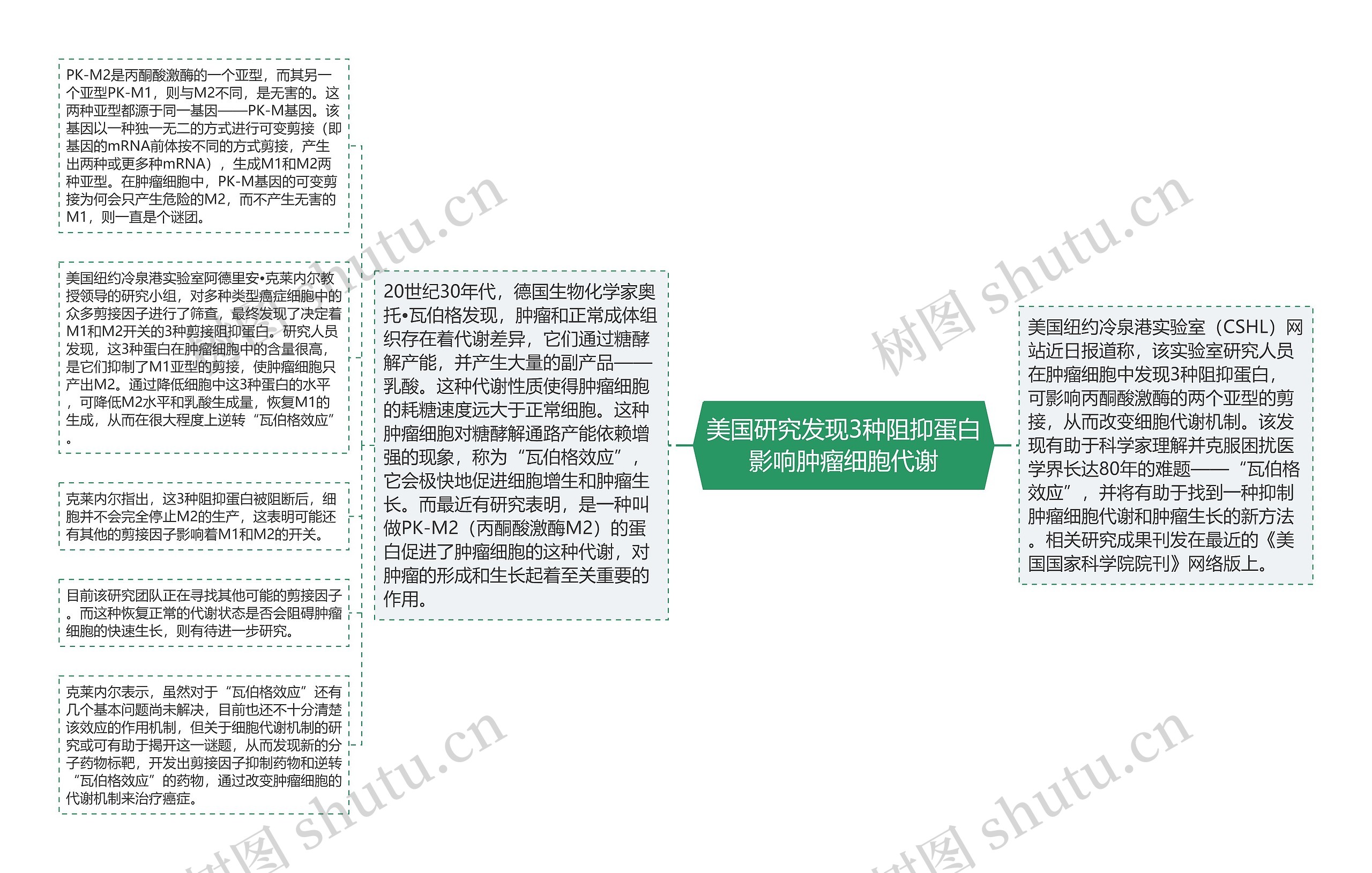 美国研究发现3种阻抑蛋白影响肿瘤细胞代谢思维导图