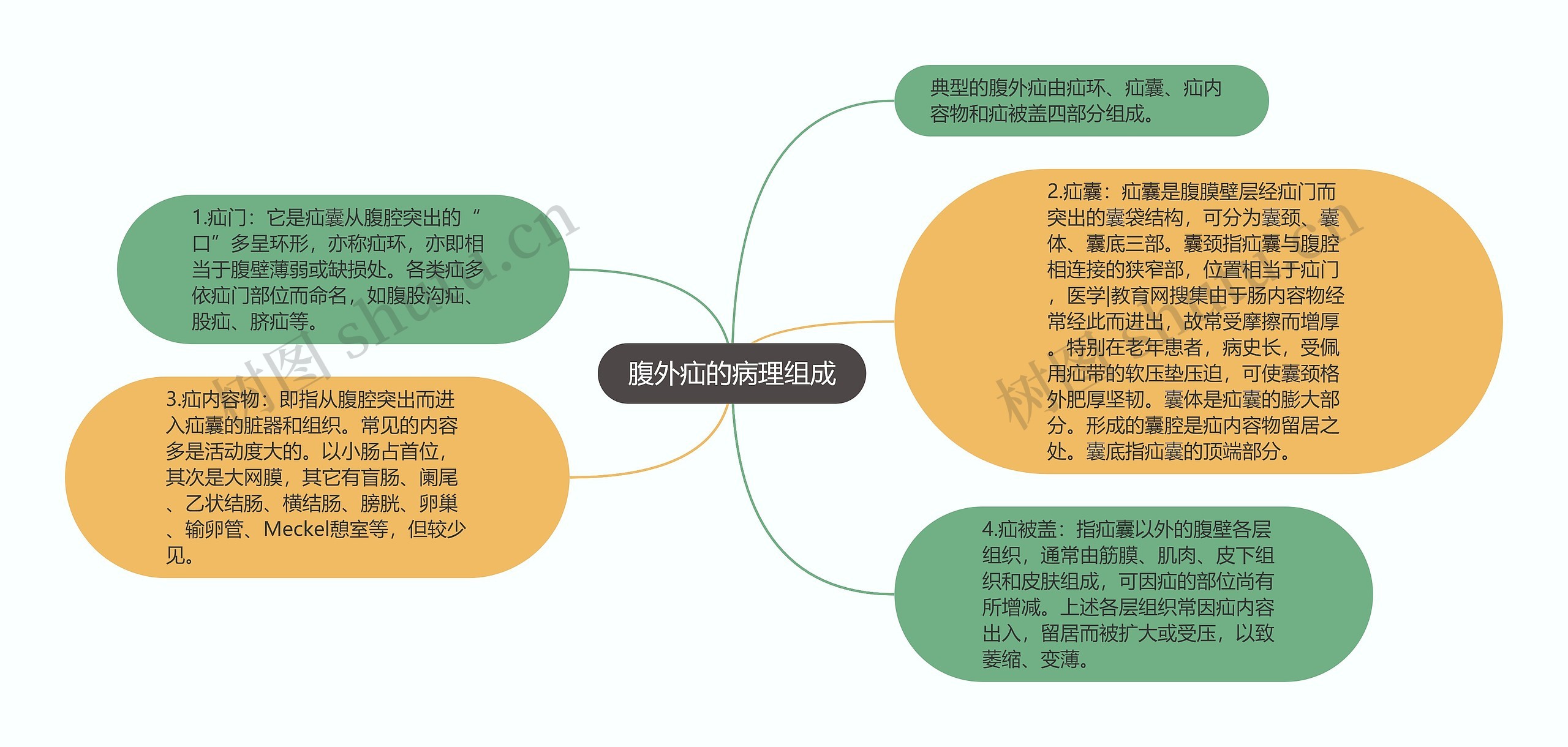 腹外疝的病理组成思维导图