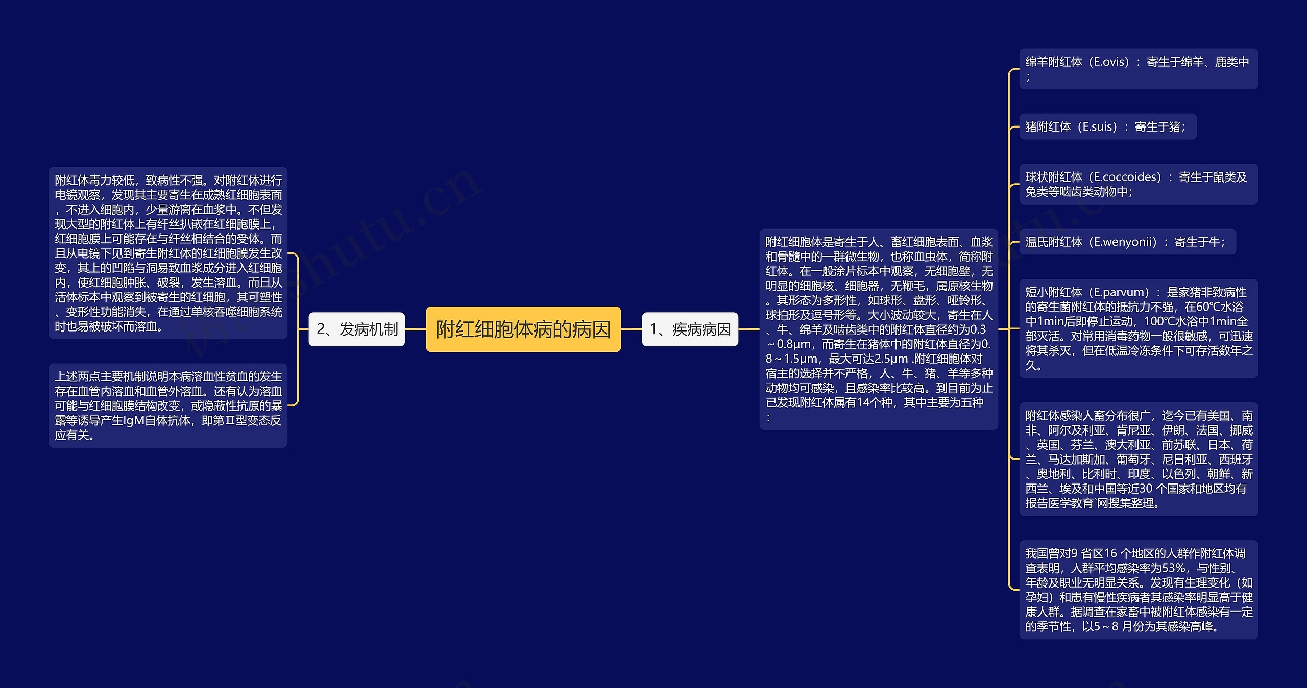 附红细胞体病的病因思维导图