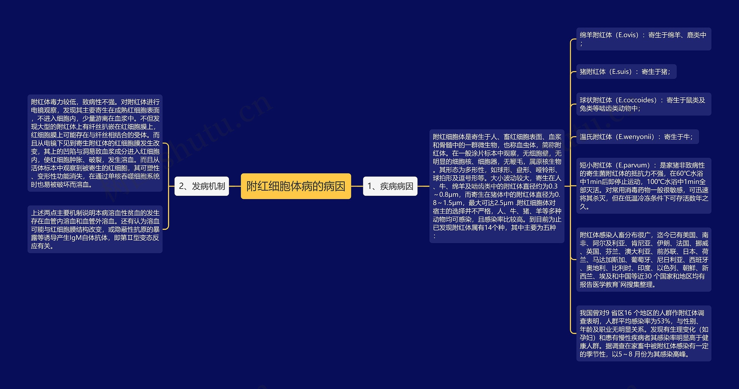 附红细胞体病的病因 附红细胞体病的病因
