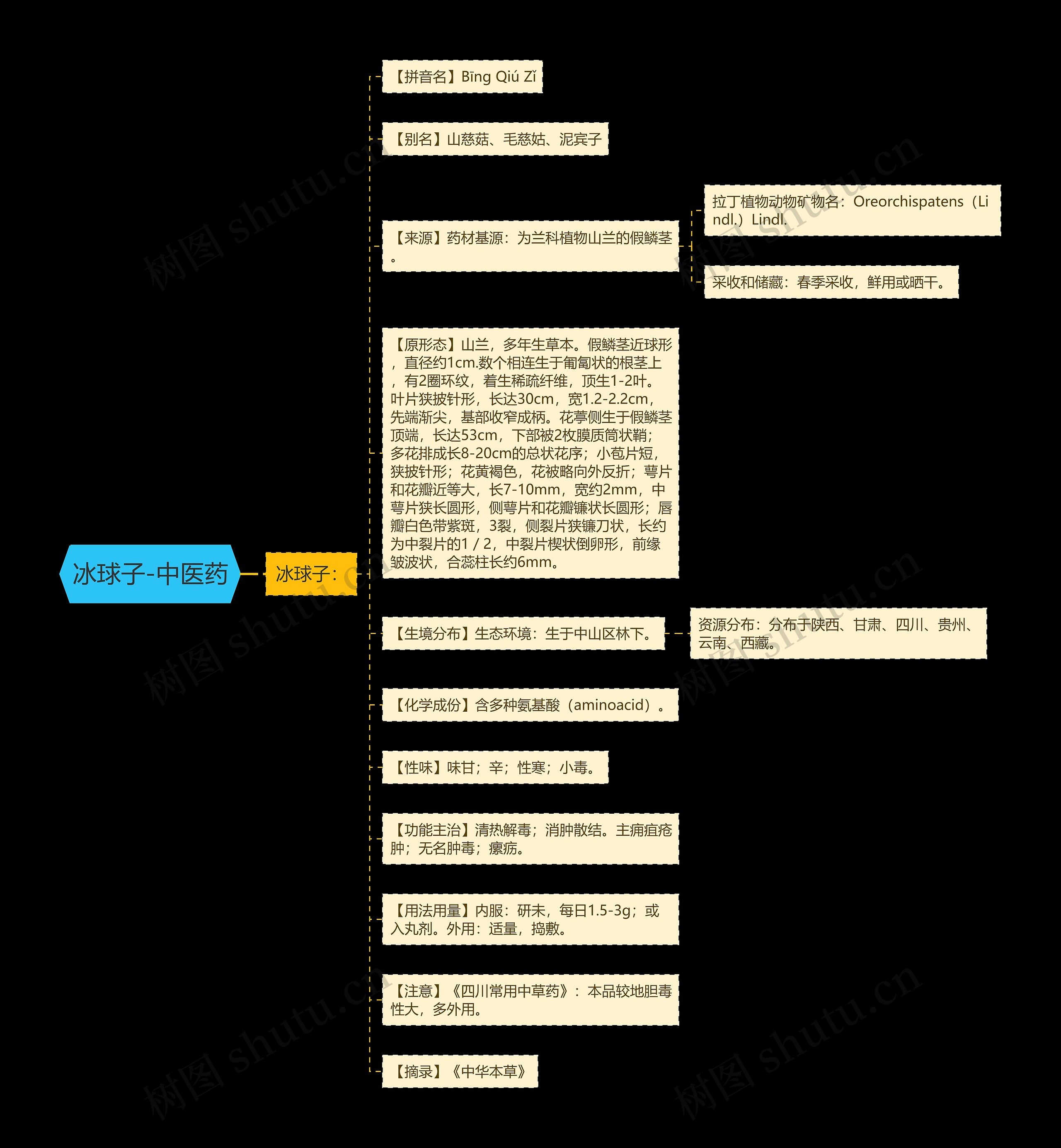 冰球子-中医药思维导图