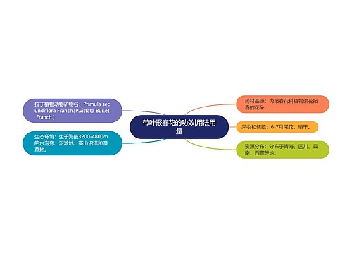 带叶报春花的功效|用法用量