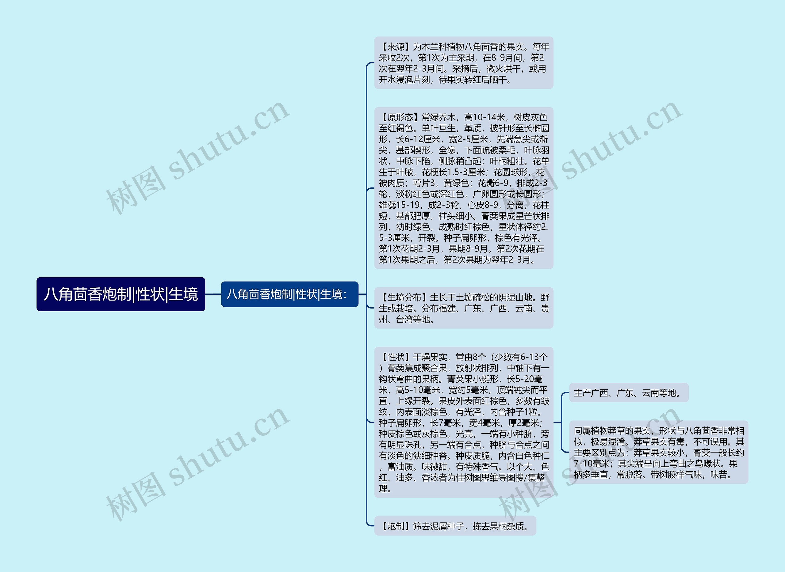 八角茴香炮制|性状|生境思维导图