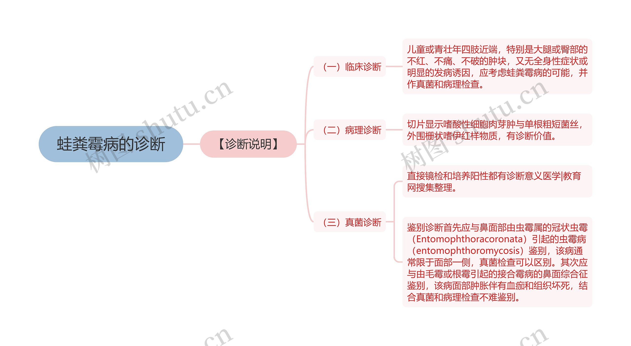 蛙粪霉病的诊断思维导图