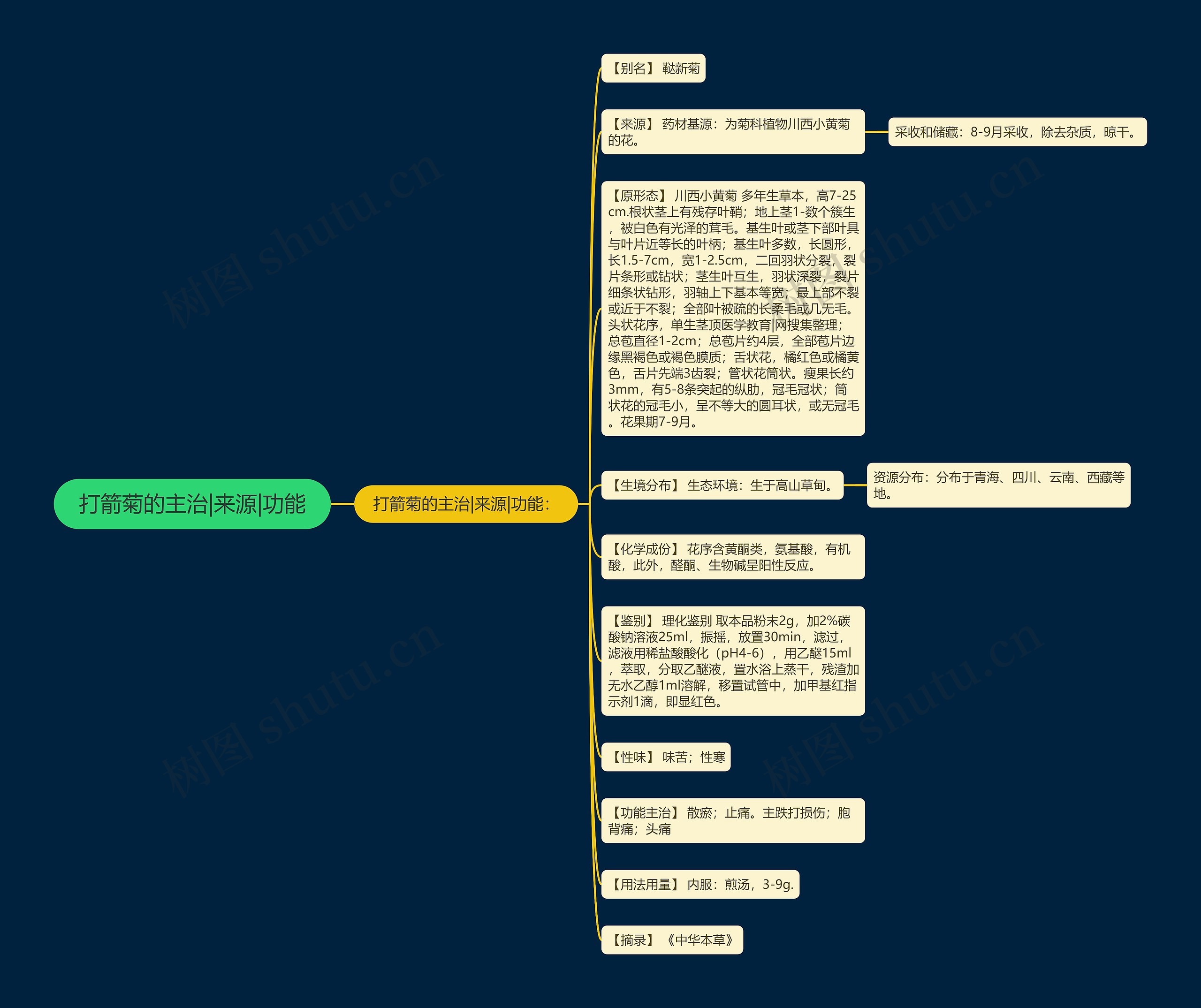 打箭菊的主治|来源|功能思维导图