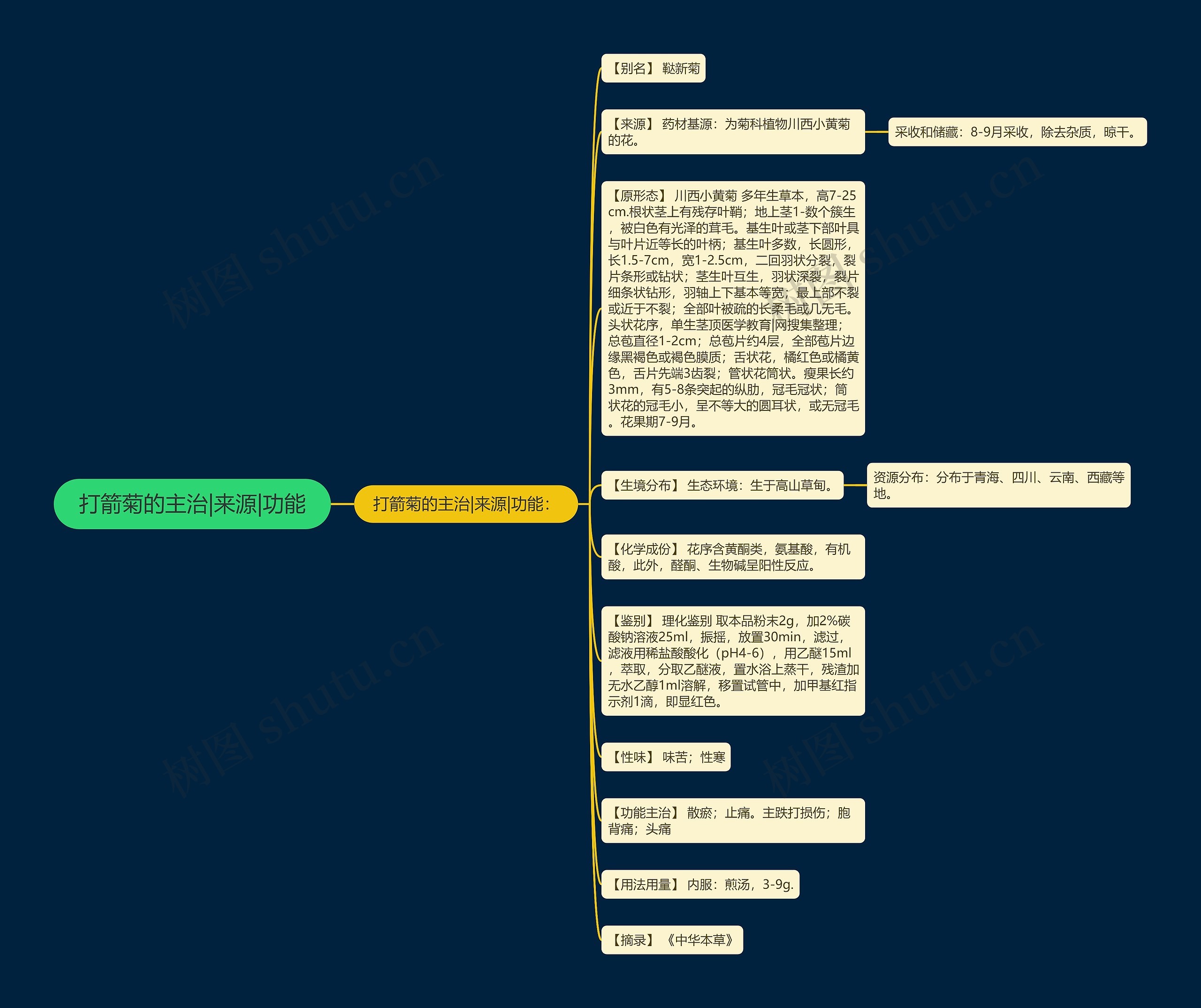 打箭菊的主治|来源|功能 打箭菊的主治|来源|功能