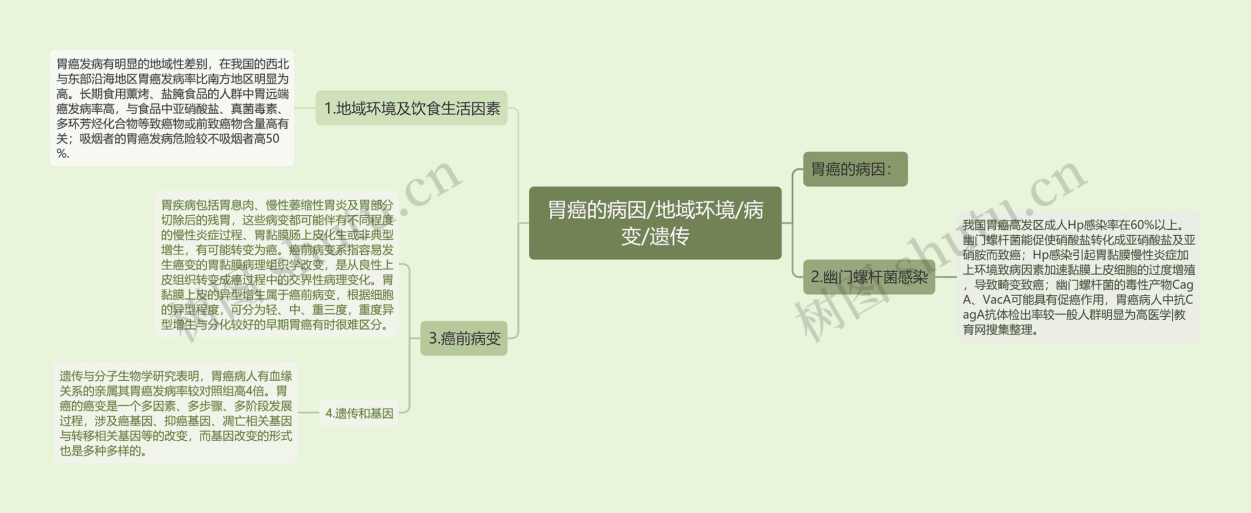 胃癌的病因/地域环境/病变/遗传
