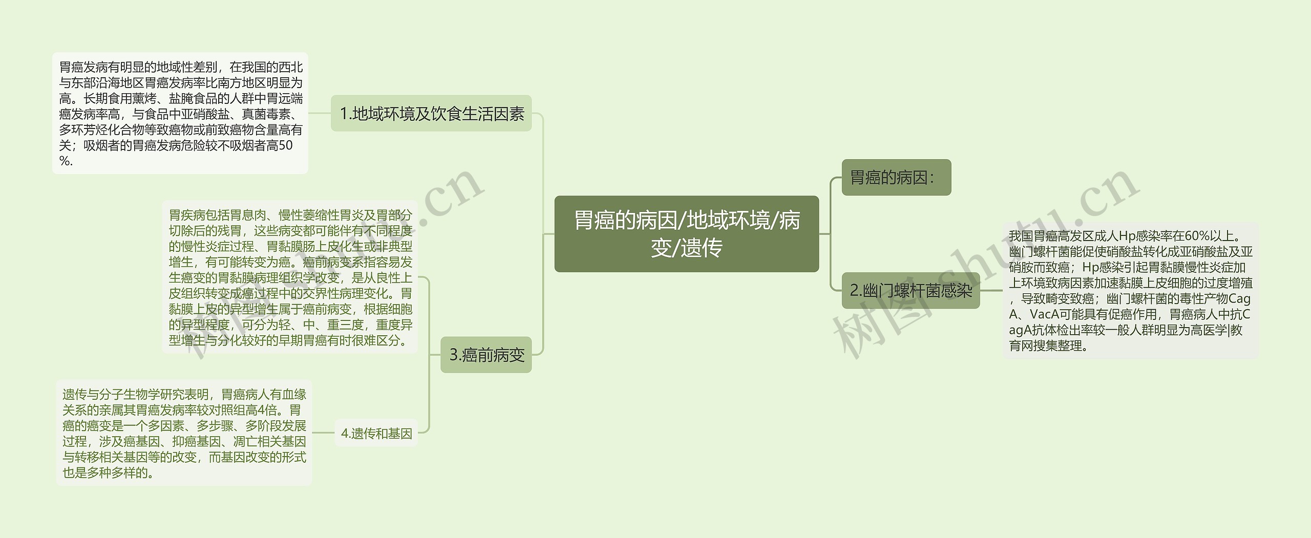 胃癌的病因/地域环境/病变/遗传思维导图