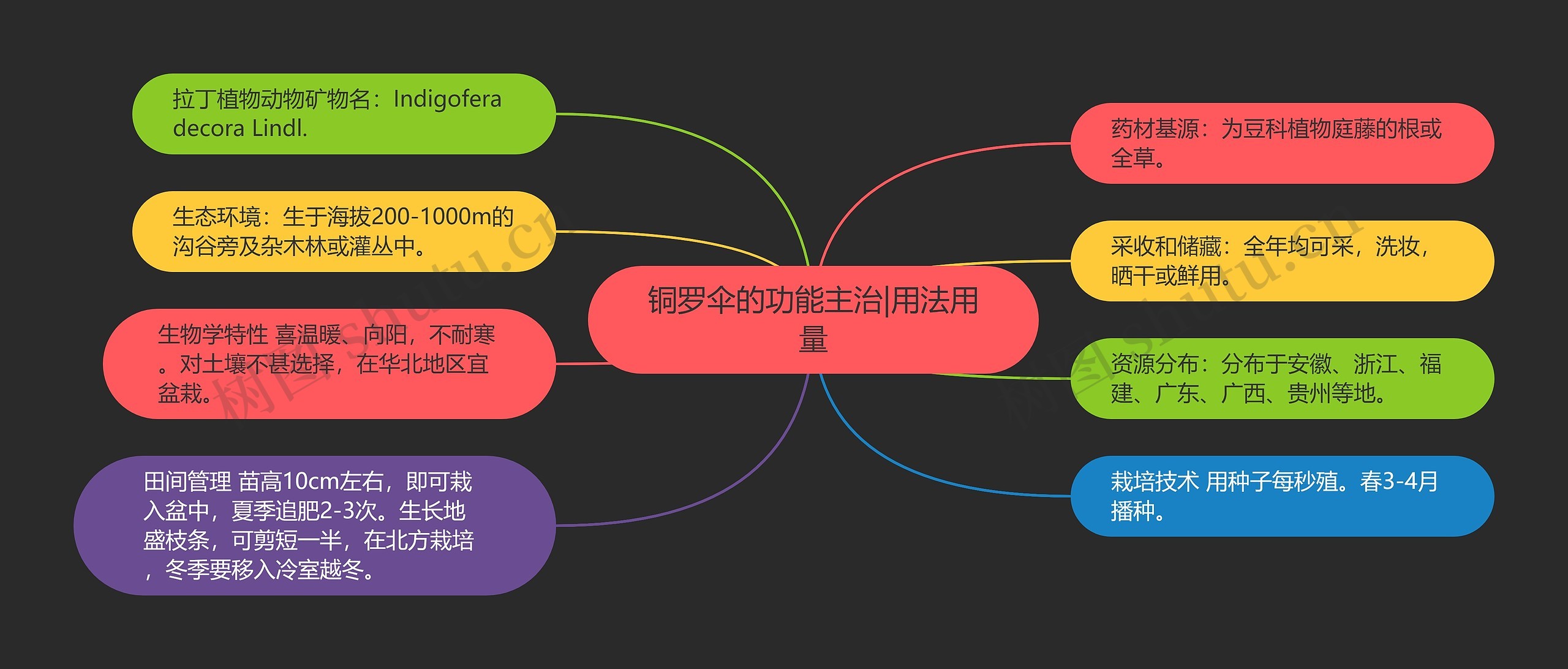 铜罗伞的功能主治|用法用量思维导图