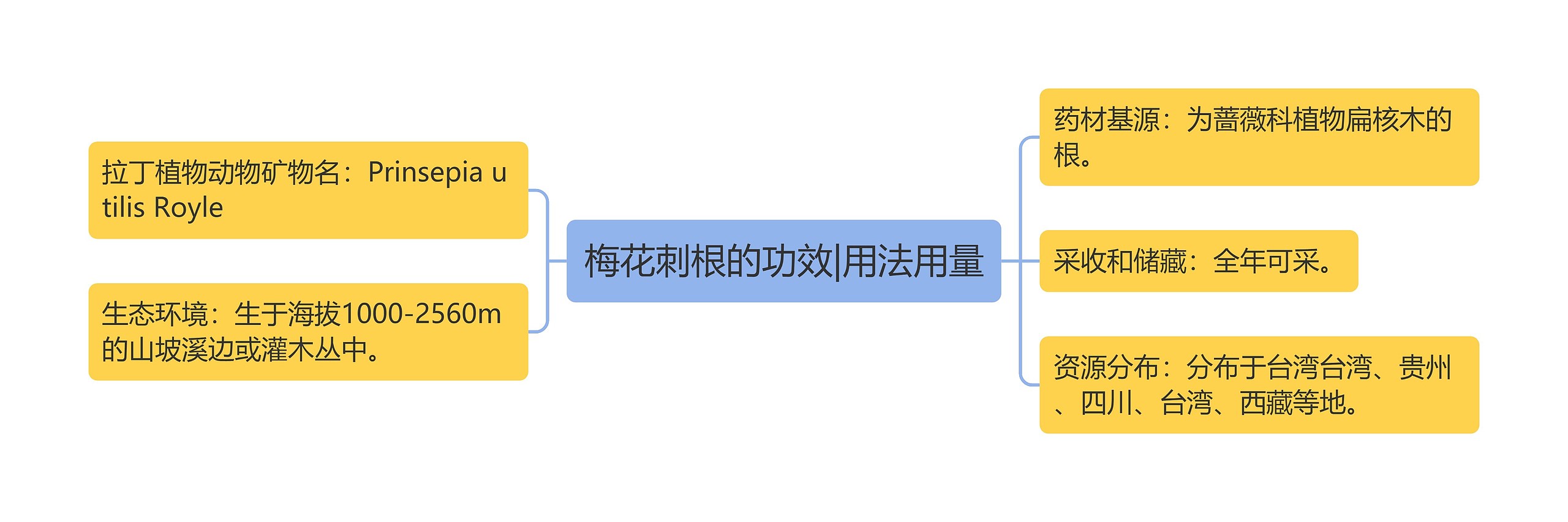 梅花刺根的功效|用法用量思维导图