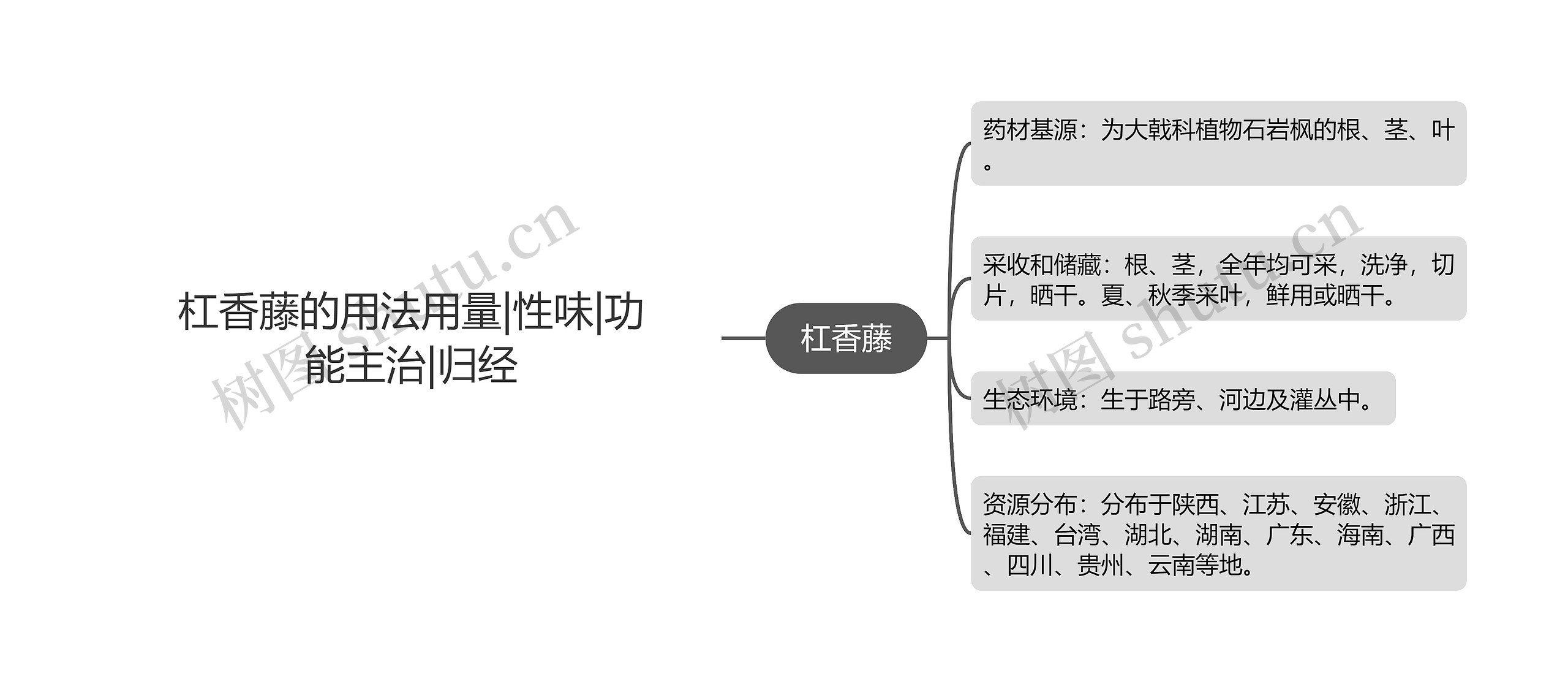 杠香藤的用法用量|性味|功能主治|归经思维导图