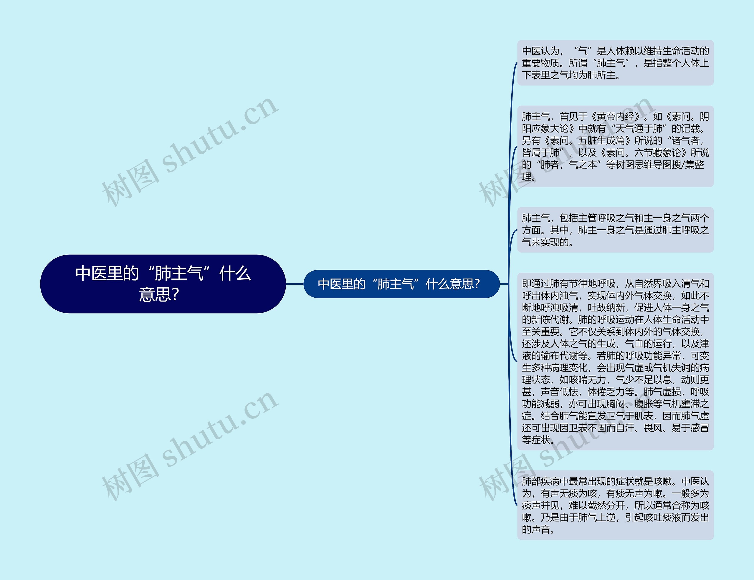 中医里的“肺主气”什么意思？