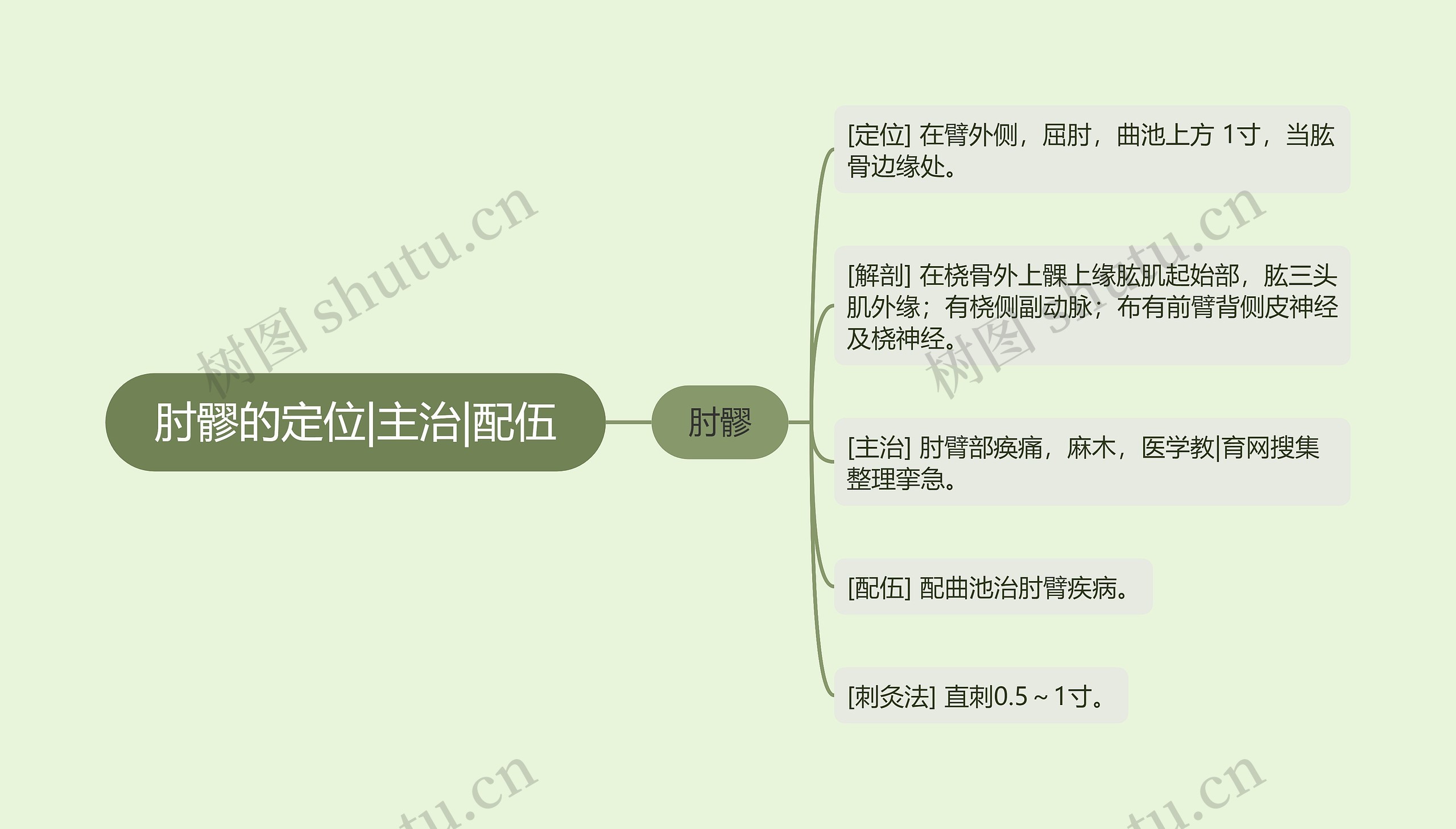 肘髎的定位|主治|配伍思维导图